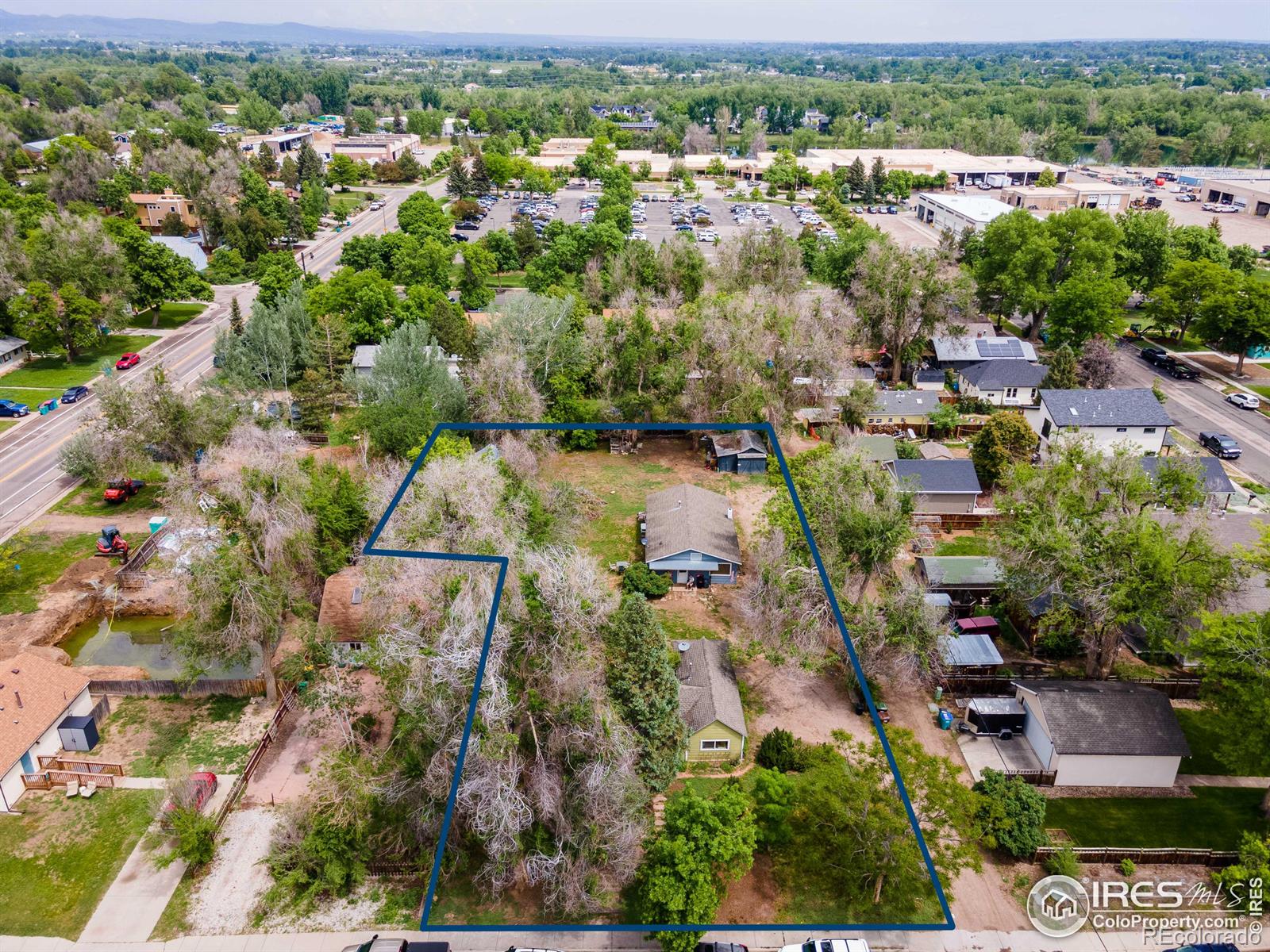 MLS Image #2 for 818  sycamore street,fort collins, Colorado