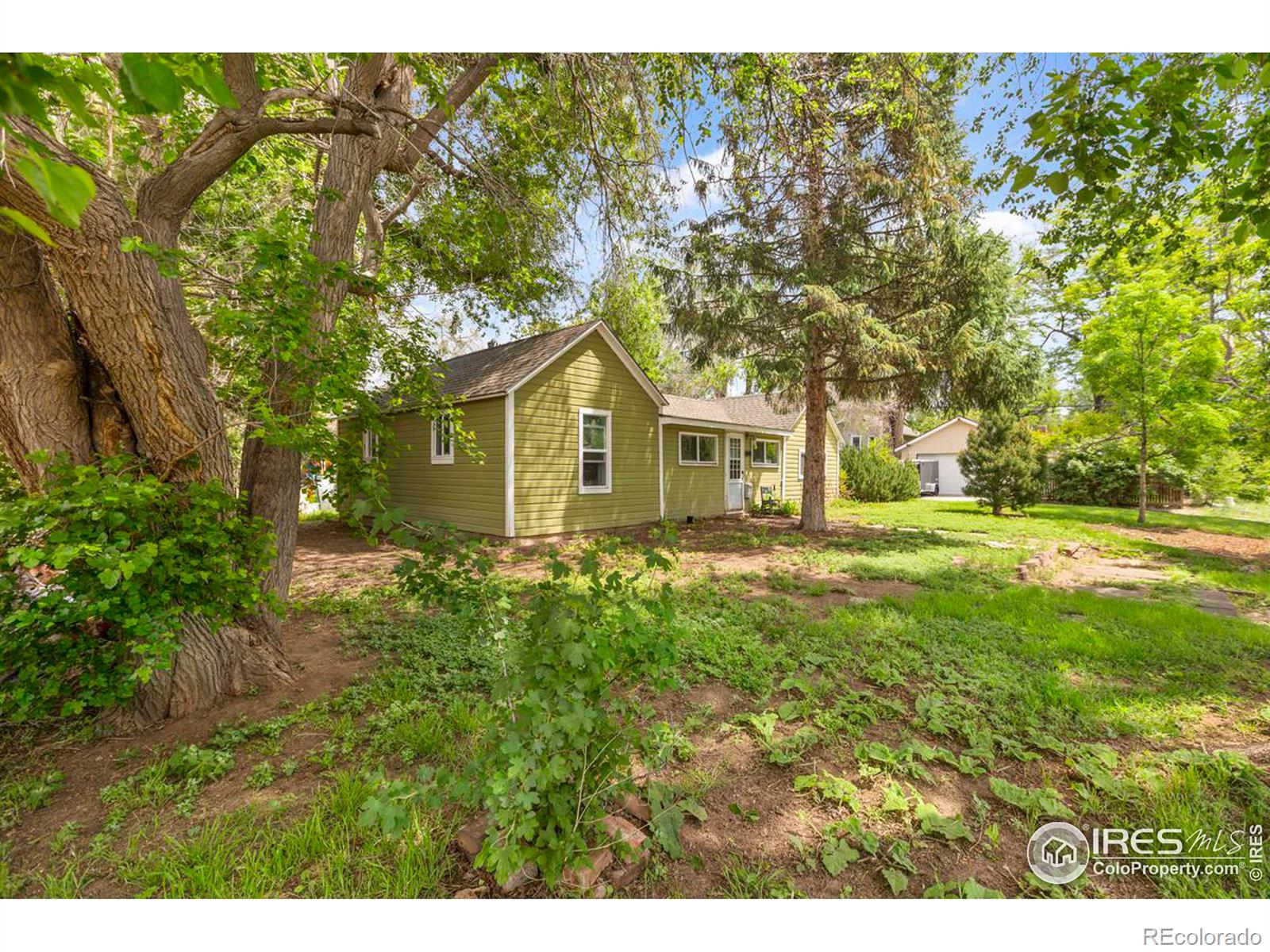 MLS Image #4 for 818  sycamore street,fort collins, Colorado