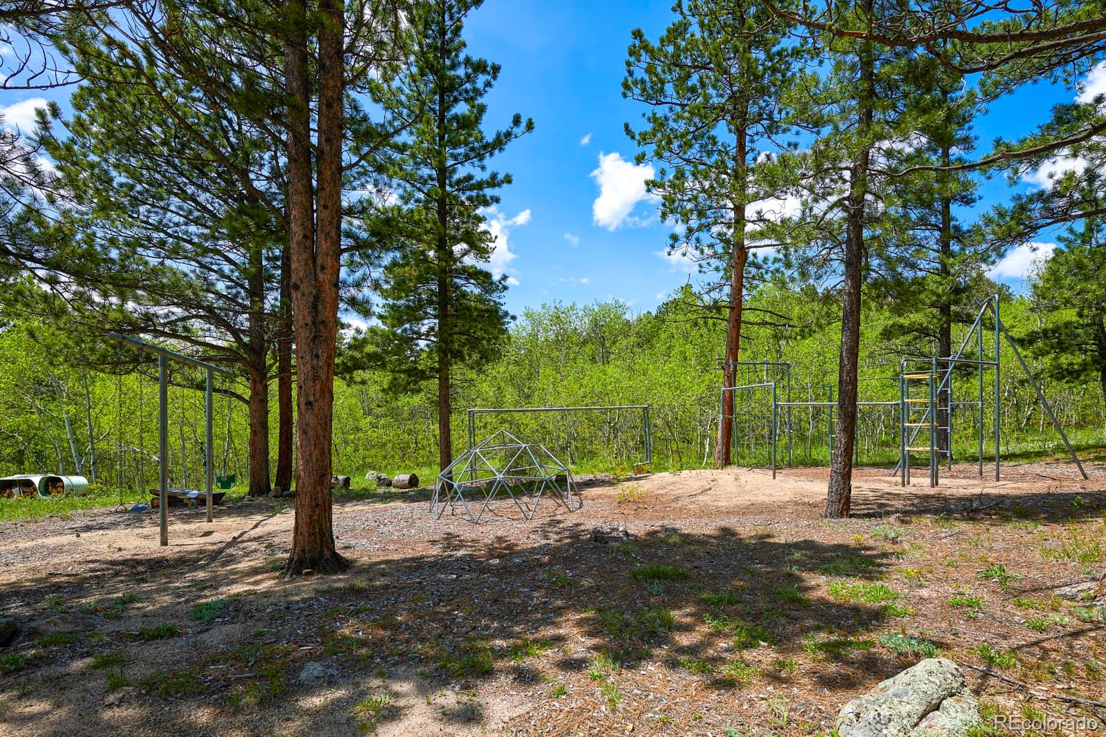 MLS Image #23 for 3497  coal creek canyon drive,pinecliffe, Colorado