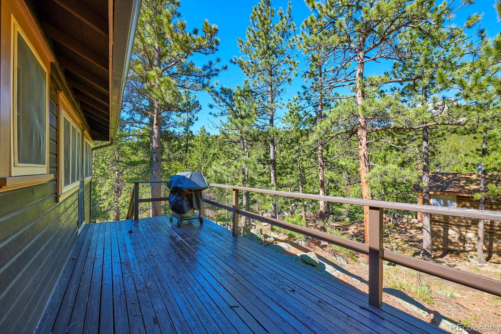 MLS Image #8 for 3497  coal creek canyon drive,pinecliffe, Colorado