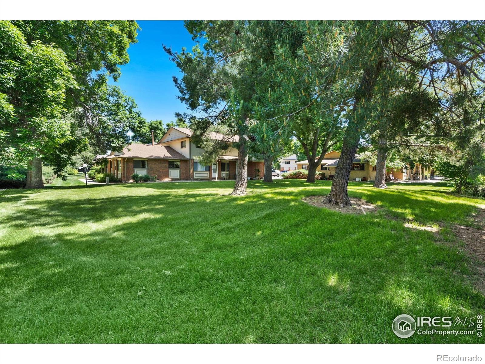 MLS Image #16 for 1001  strachan drive,fort collins, Colorado