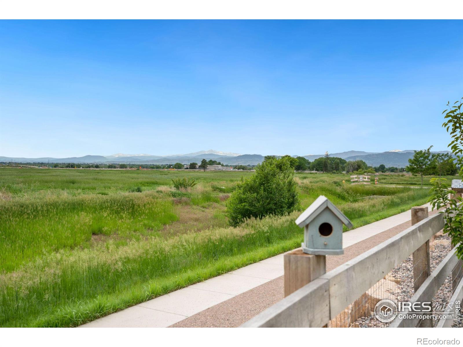 MLS Image #28 for 4315  fox grove drive,fort collins, Colorado