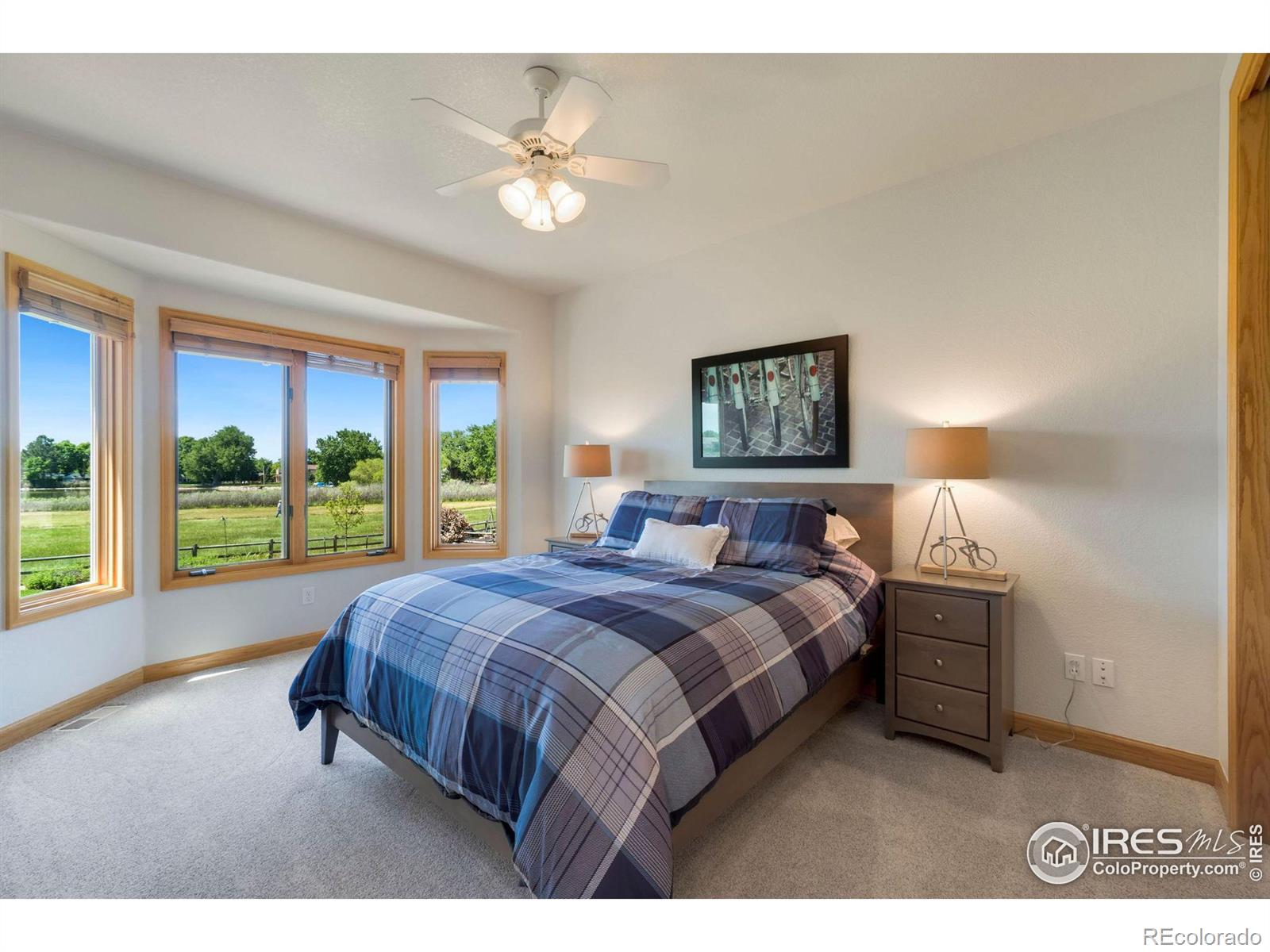 MLS Image #17 for 118  orilla del lago ,fort collins, Colorado