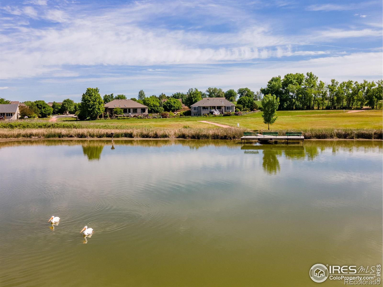 MLS Image #29 for 118  orilla del lago ,fort collins, Colorado