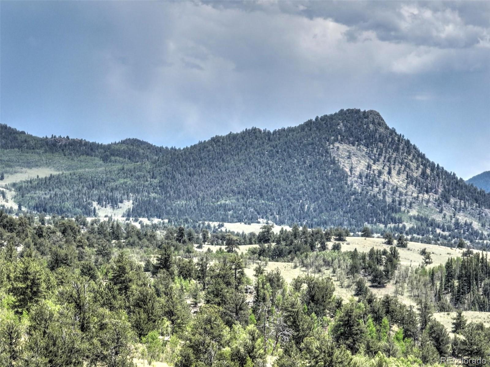 MLS Image #20 for 1595  al gulch road,jefferson, Colorado