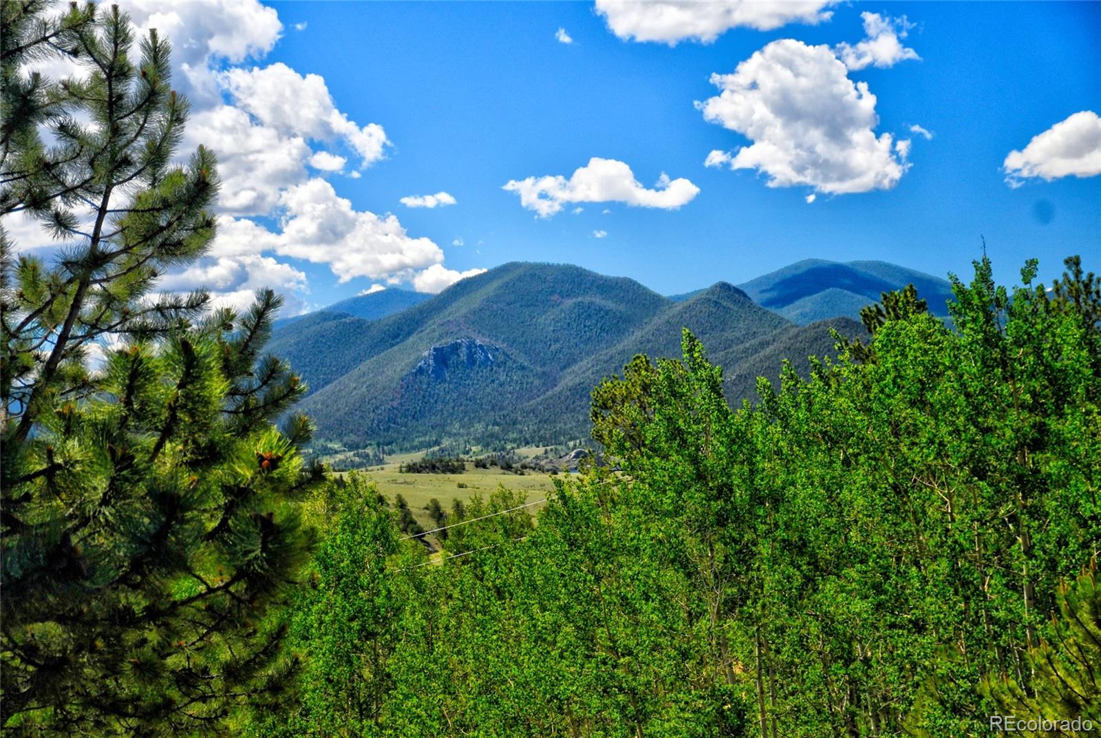 MLS Image #22 for 1595  al gulch road,jefferson, Colorado