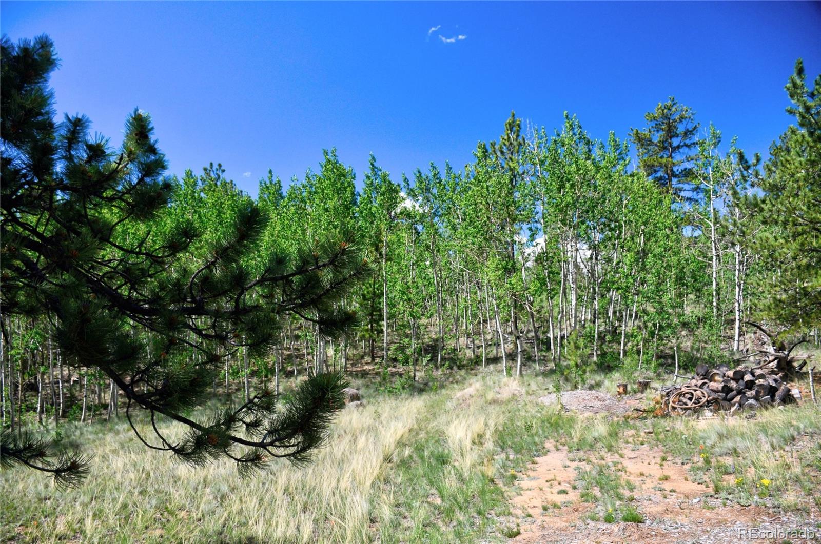 MLS Image #24 for 1595  al gulch road,jefferson, Colorado