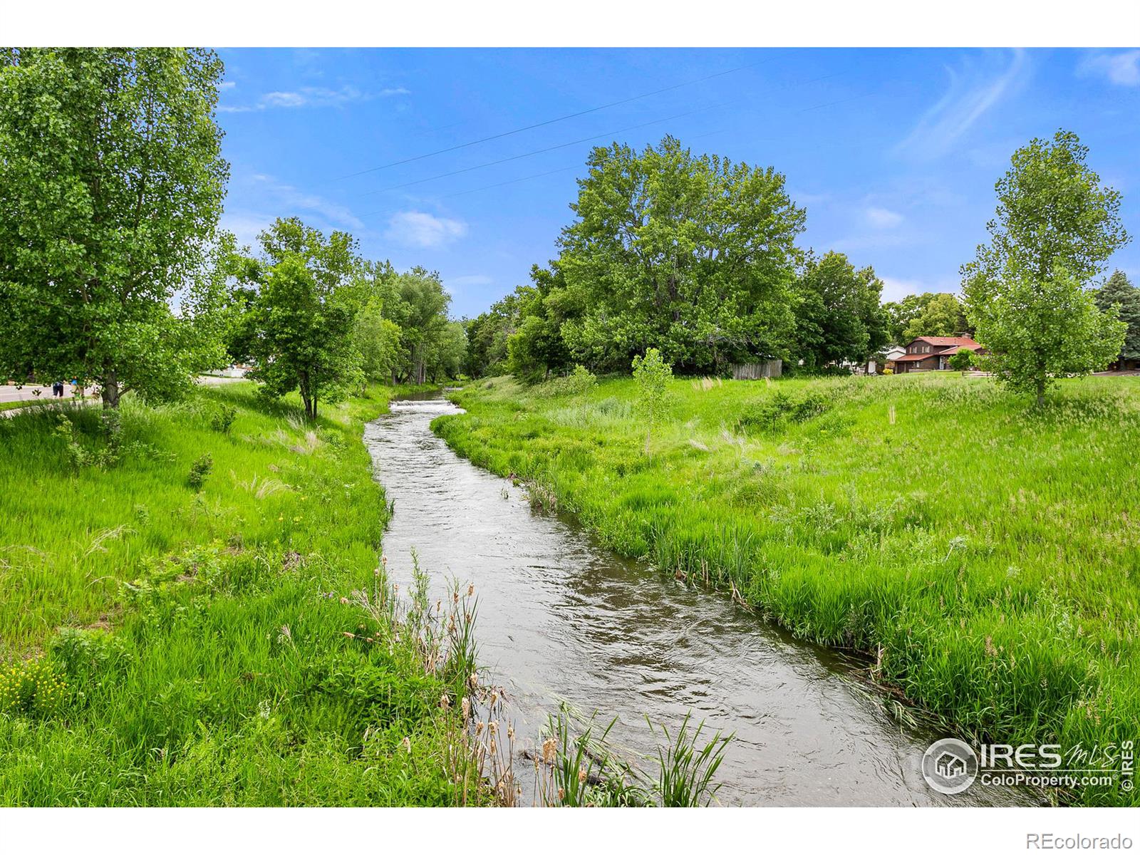 MLS Image #30 for 8  seattle lane,longmont, Colorado