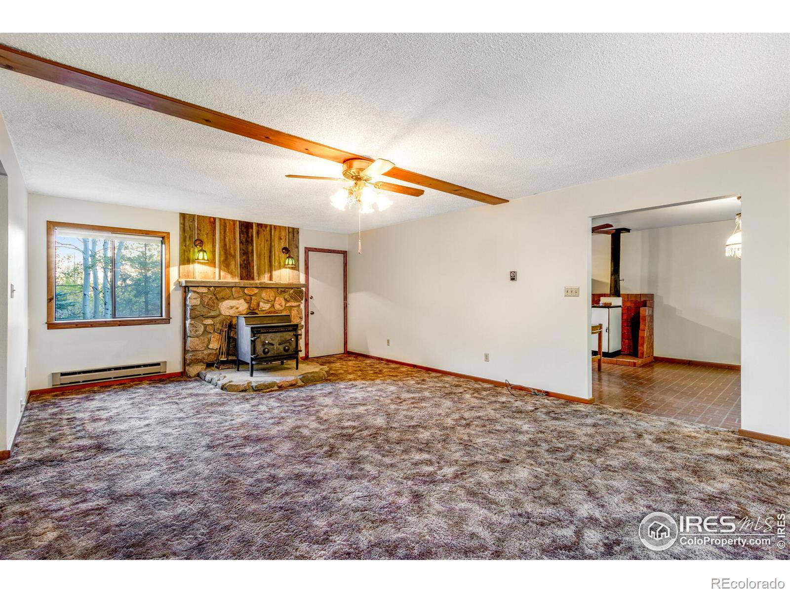 MLS Image #21 for 88  shady rest lane,bellvue, Colorado