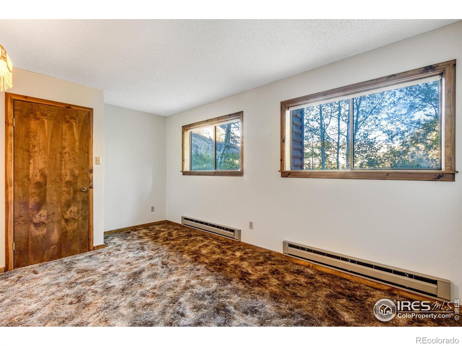 MLS Image #23 for 88  shady rest lane,bellvue, Colorado