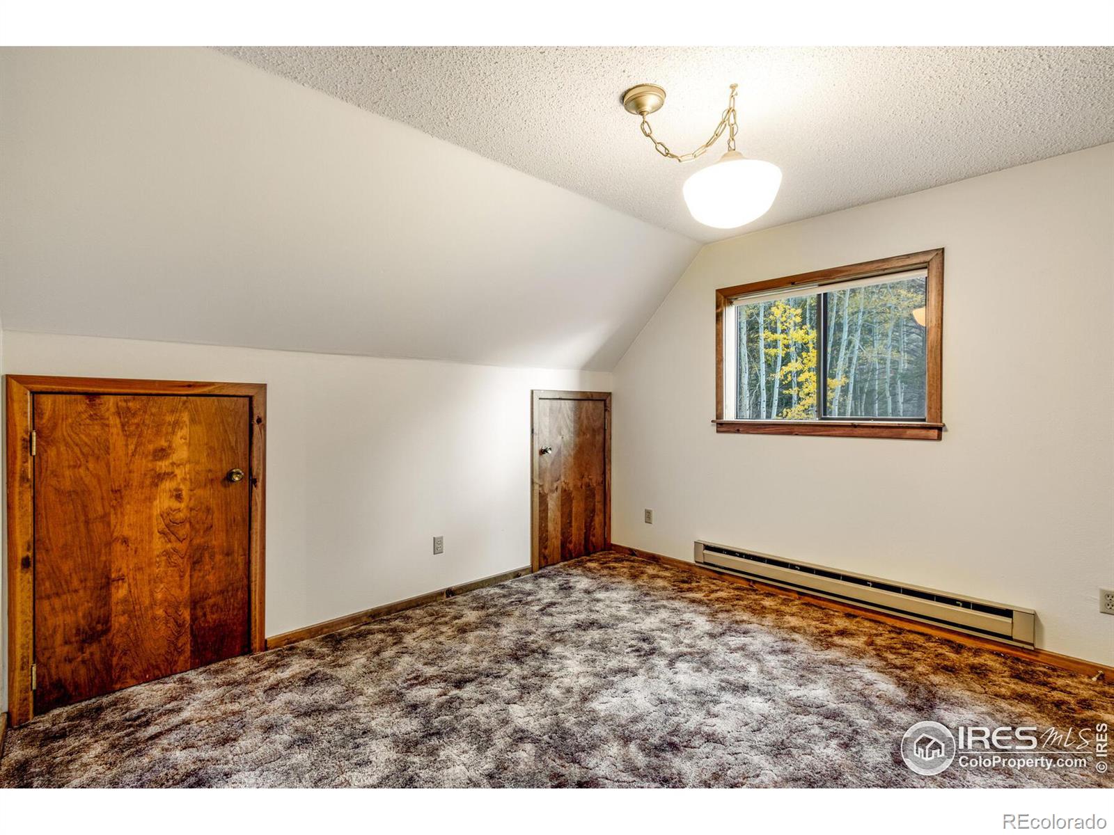 MLS Image #24 for 88  shady rest lane,bellvue, Colorado