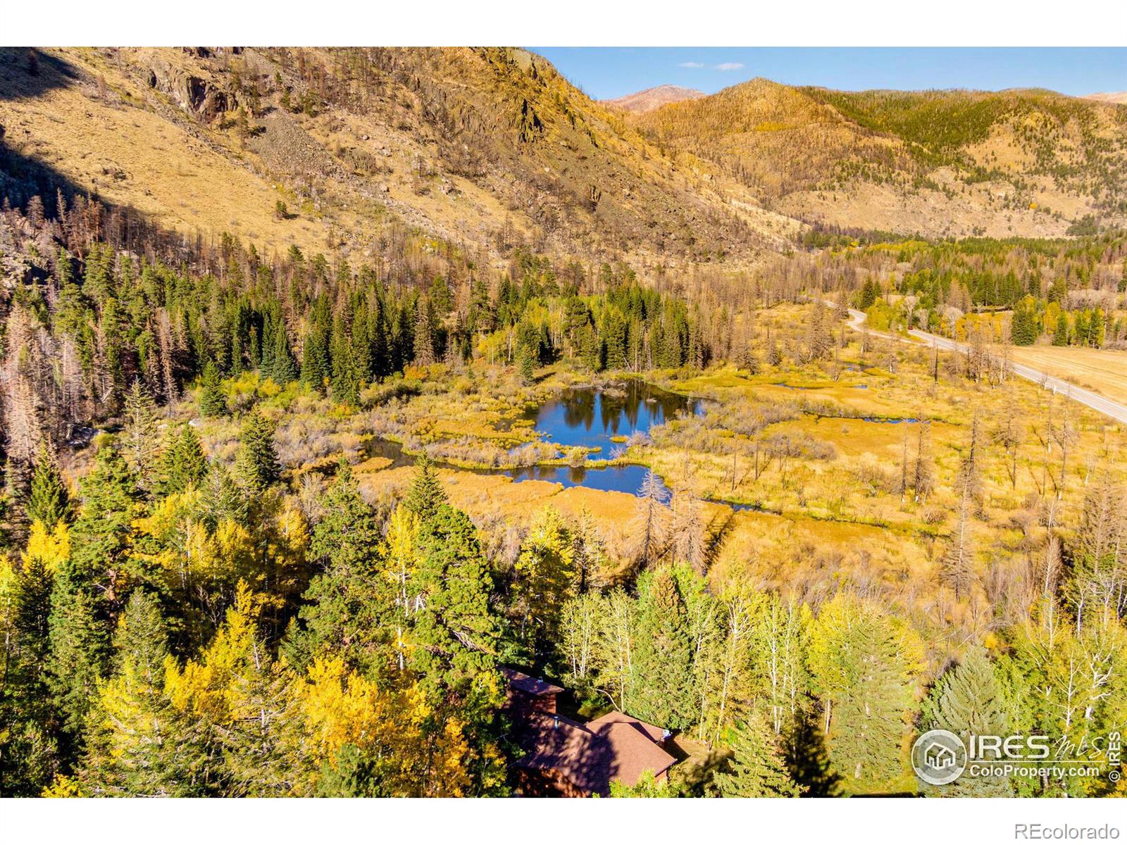 MLS Image #3 for 88  shady rest lane,bellvue, Colorado