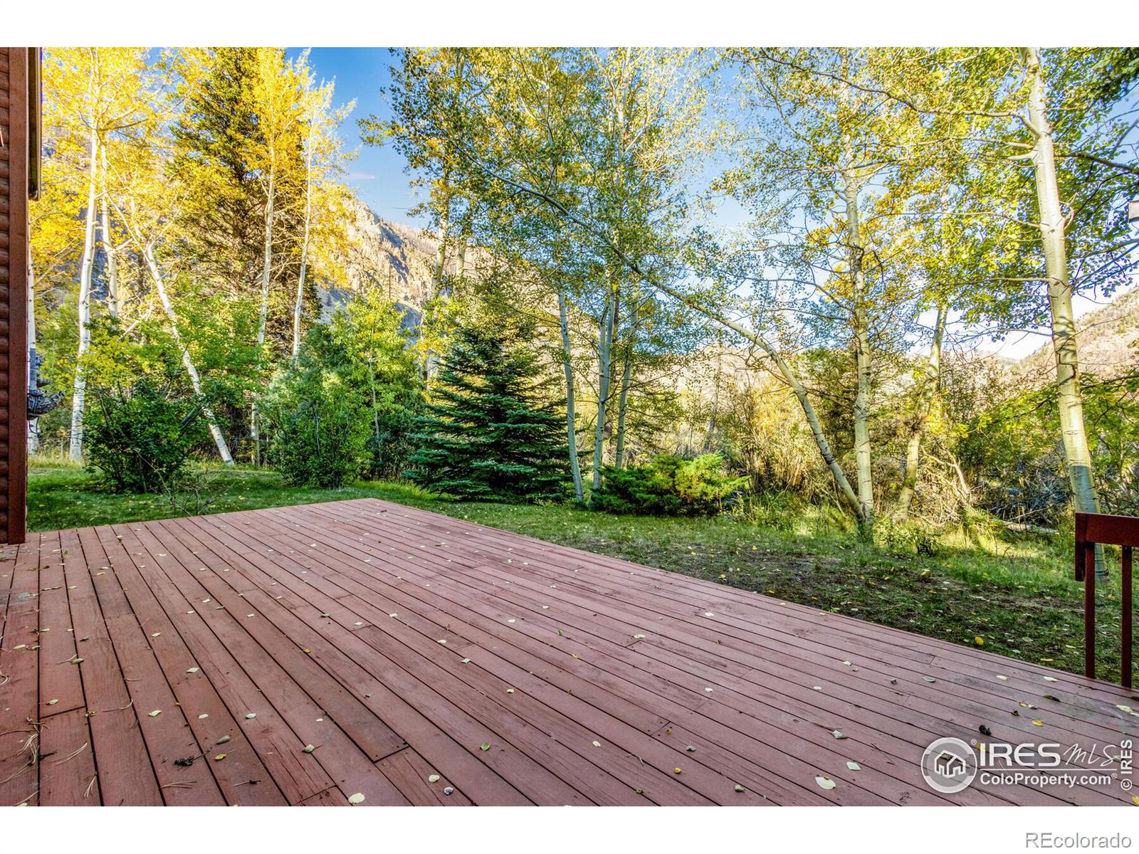 MLS Image #31 for 88  shady rest lane,bellvue, Colorado