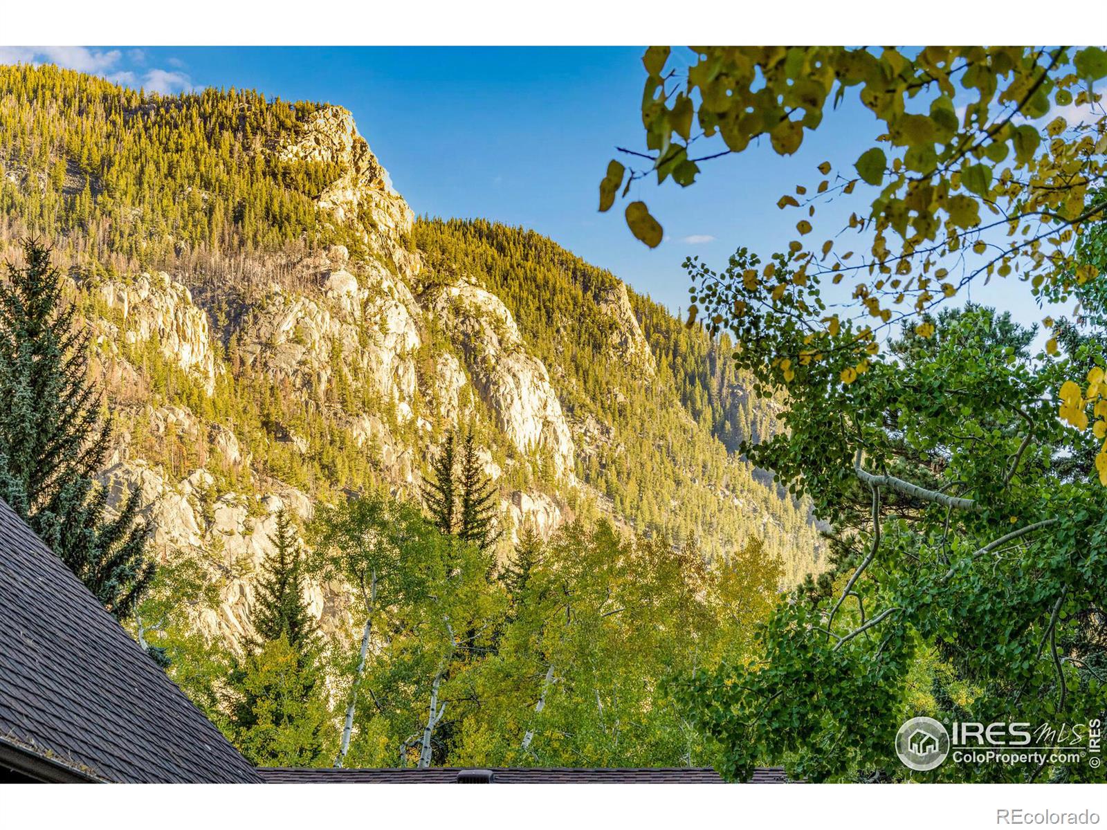 MLS Image #33 for 88  shady rest lane,bellvue, Colorado