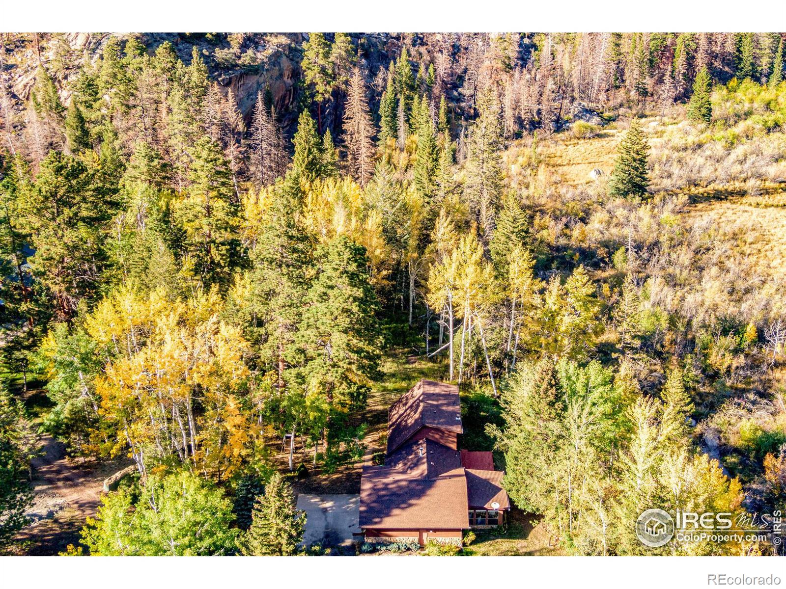 MLS Image #4 for 88  shady rest lane,bellvue, Colorado