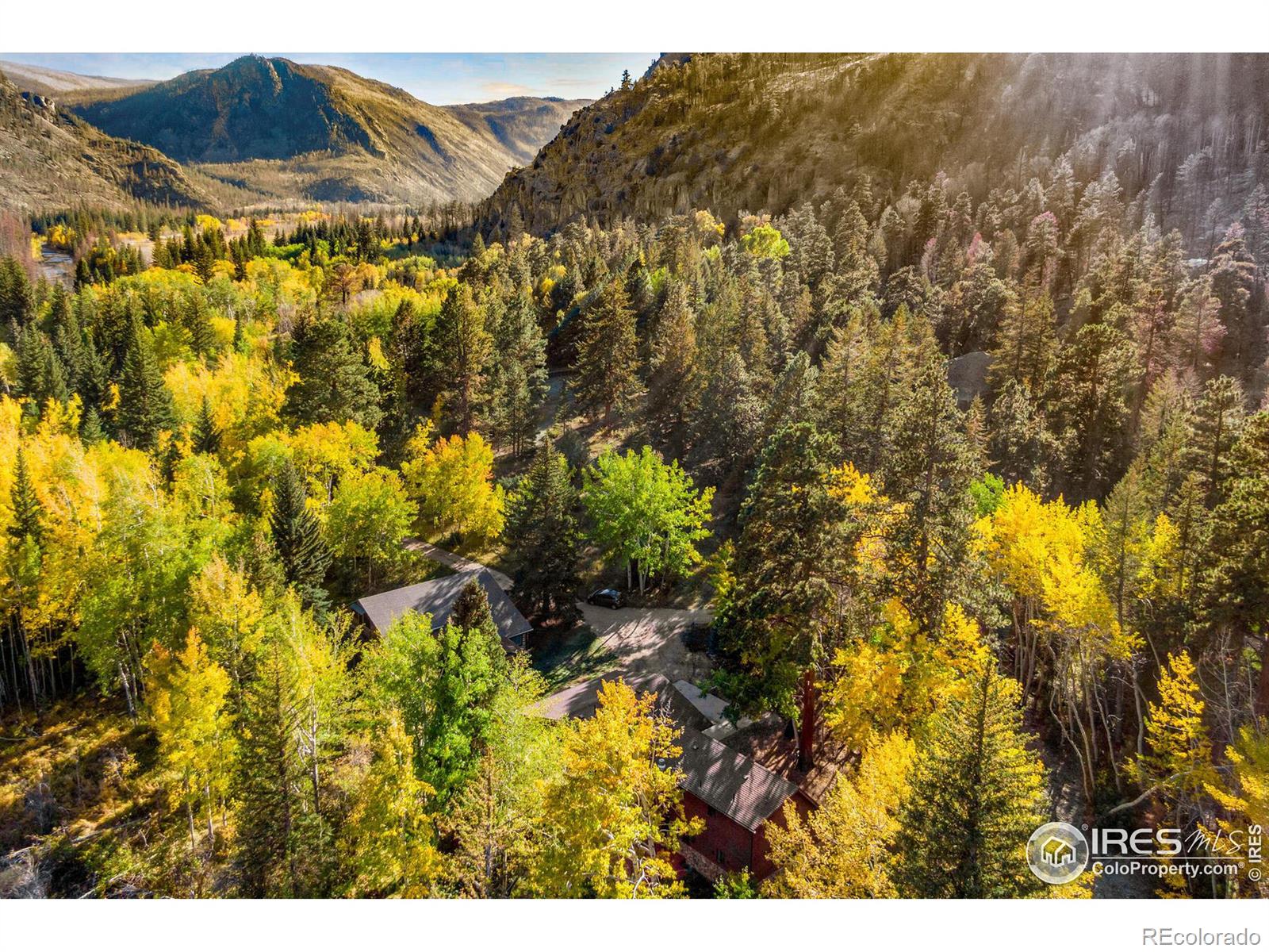 MLS Image #5 for 88  shady rest lane,bellvue, Colorado