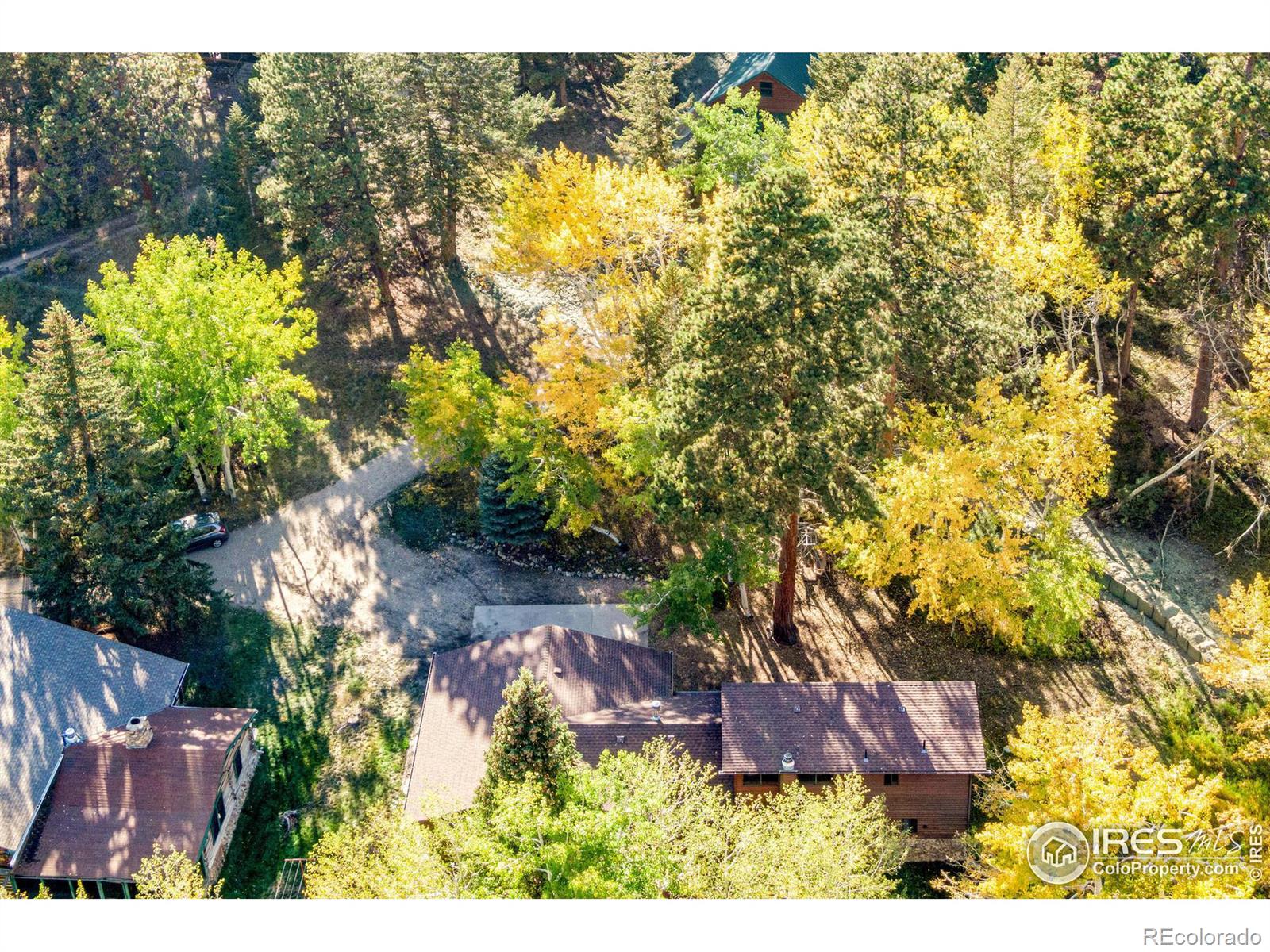 MLS Image #7 for 88  shady rest lane,bellvue, Colorado