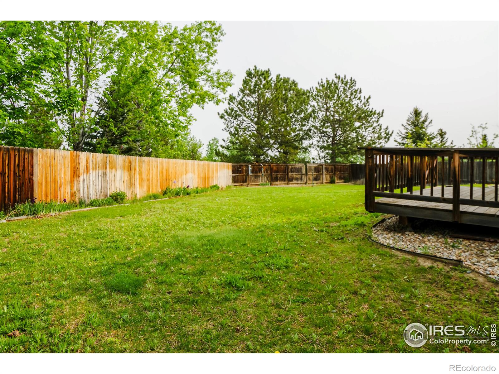 MLS Image #17 for 2911  coneflower court,superior, Colorado