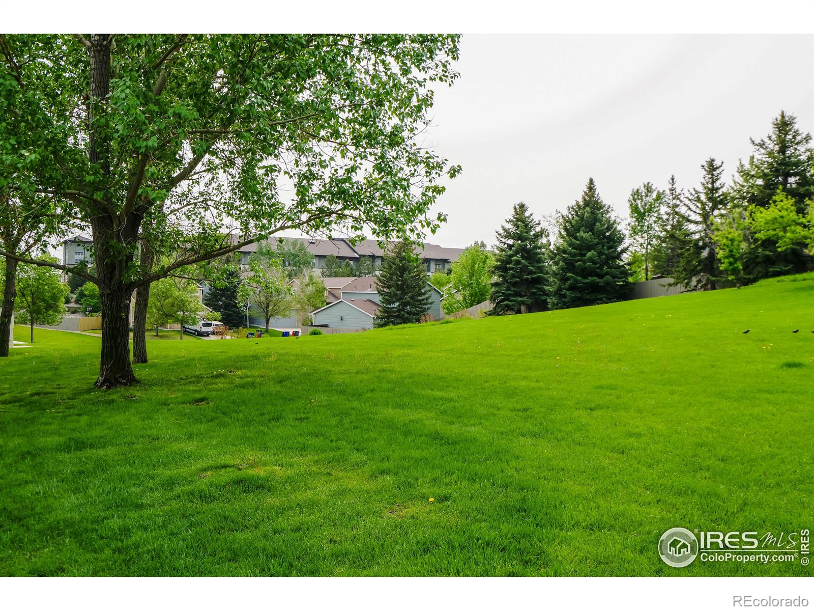 MLS Image #30 for 2911  coneflower court,superior, Colorado