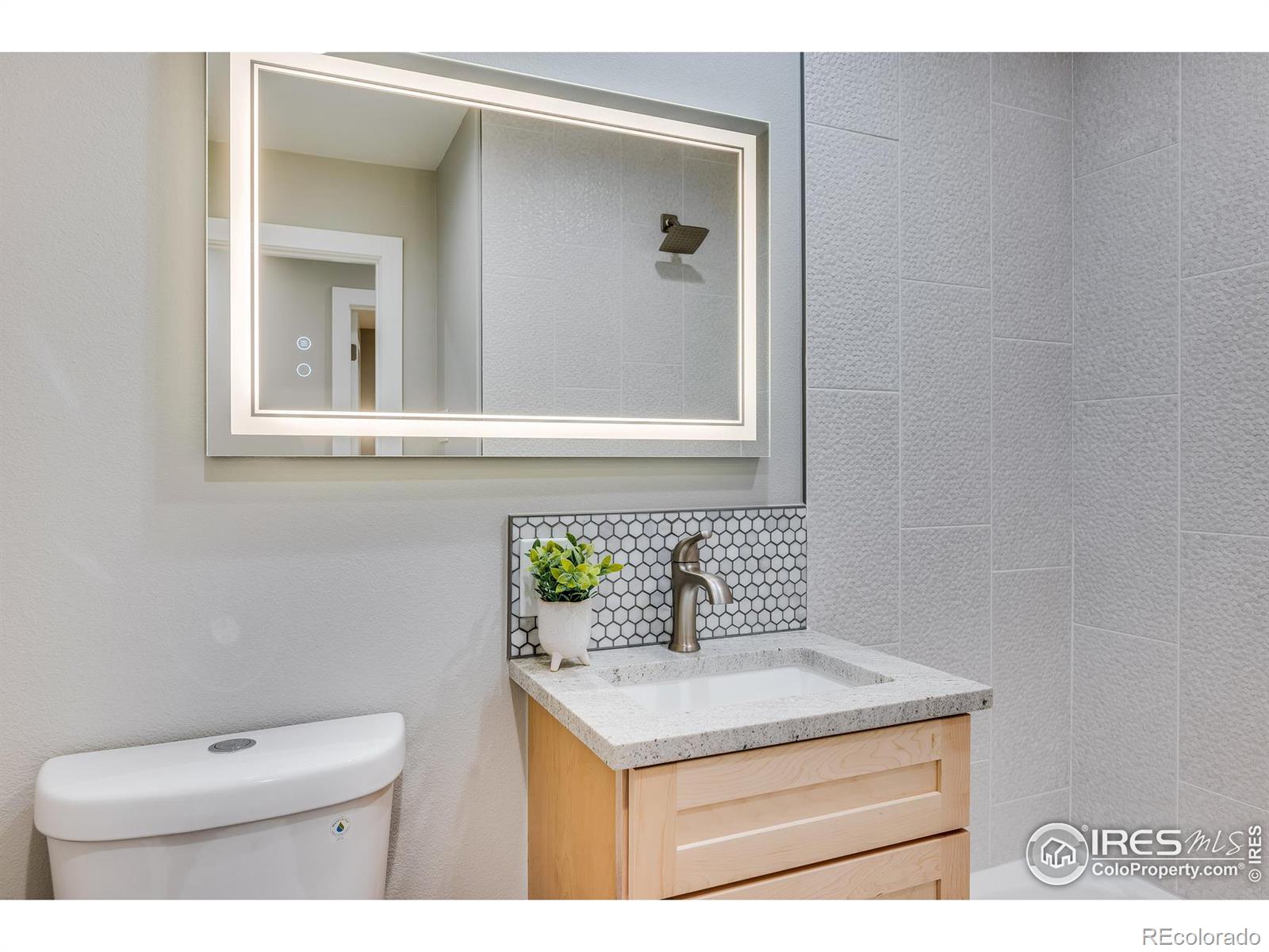 MLS Image #20 for 1696 s welch circle,lakewood, Colorado