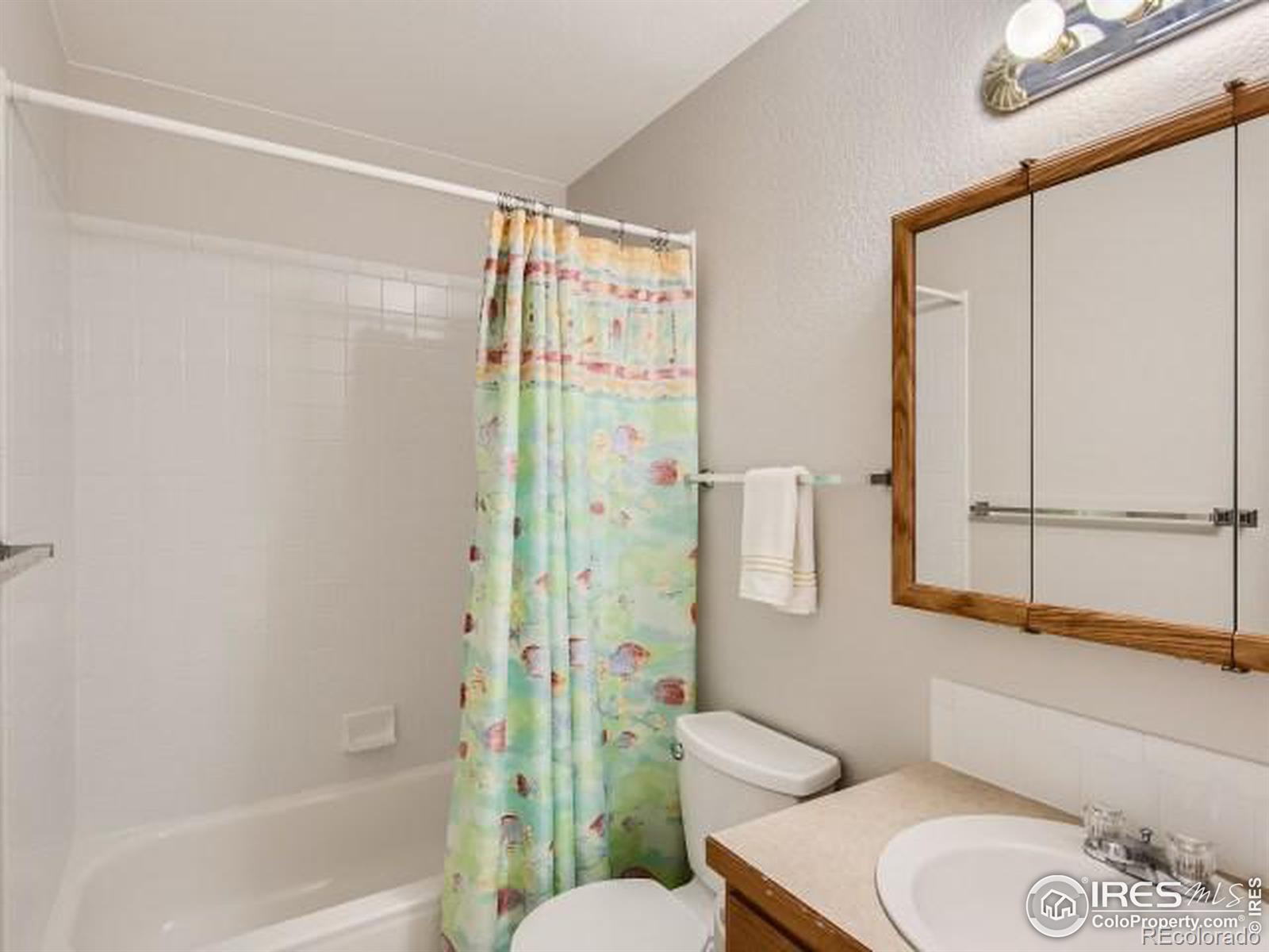 MLS Image #20 for 415  norwood court,windsor, Colorado