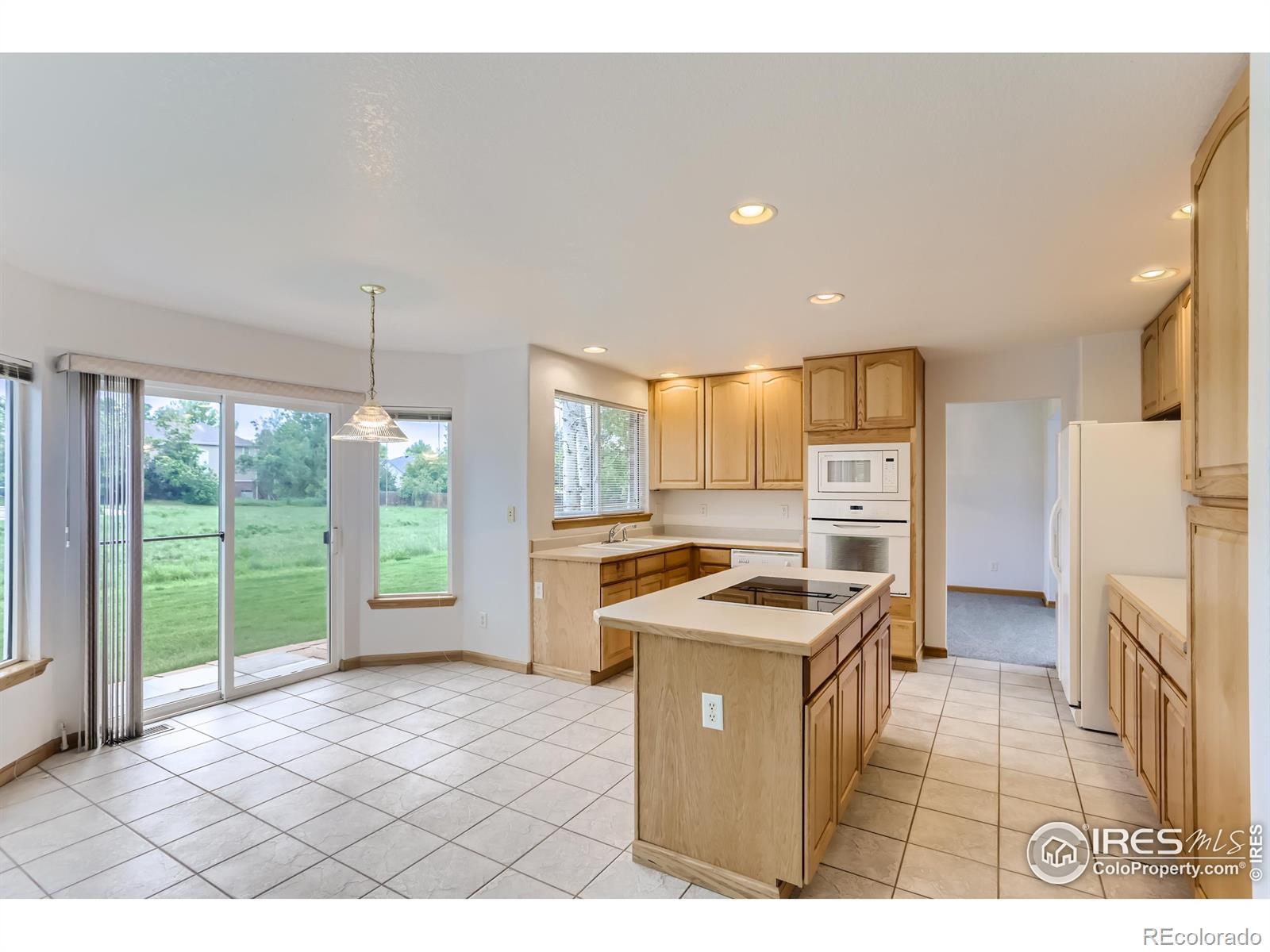 MLS Image #9 for 290  baker lane,erie, Colorado