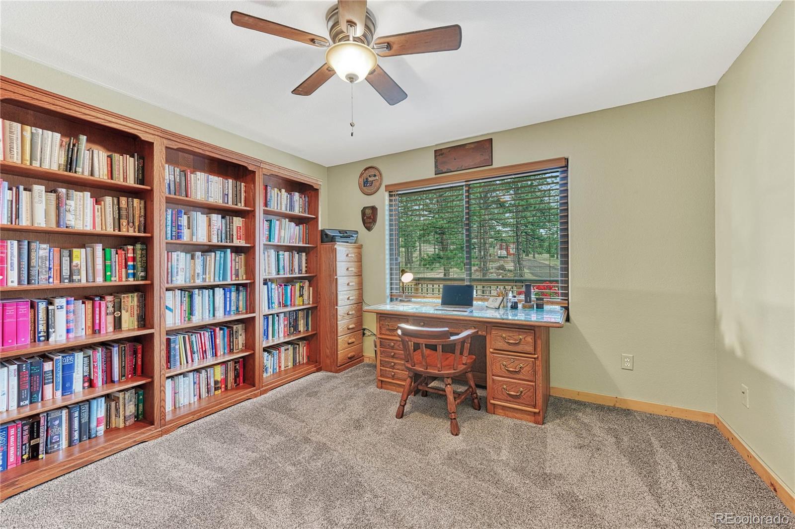 MLS Image #14 for 133  lake drive,florissant, Colorado