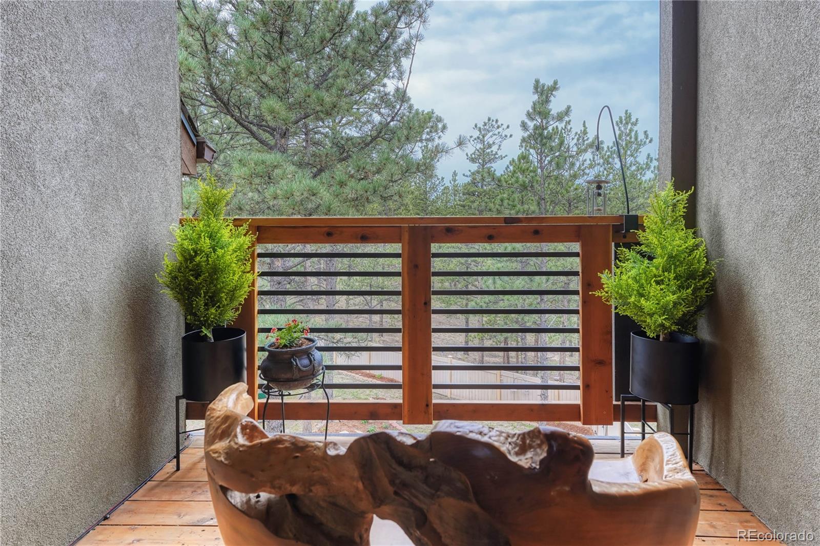MLS Image #20 for 133  lake drive,florissant, Colorado