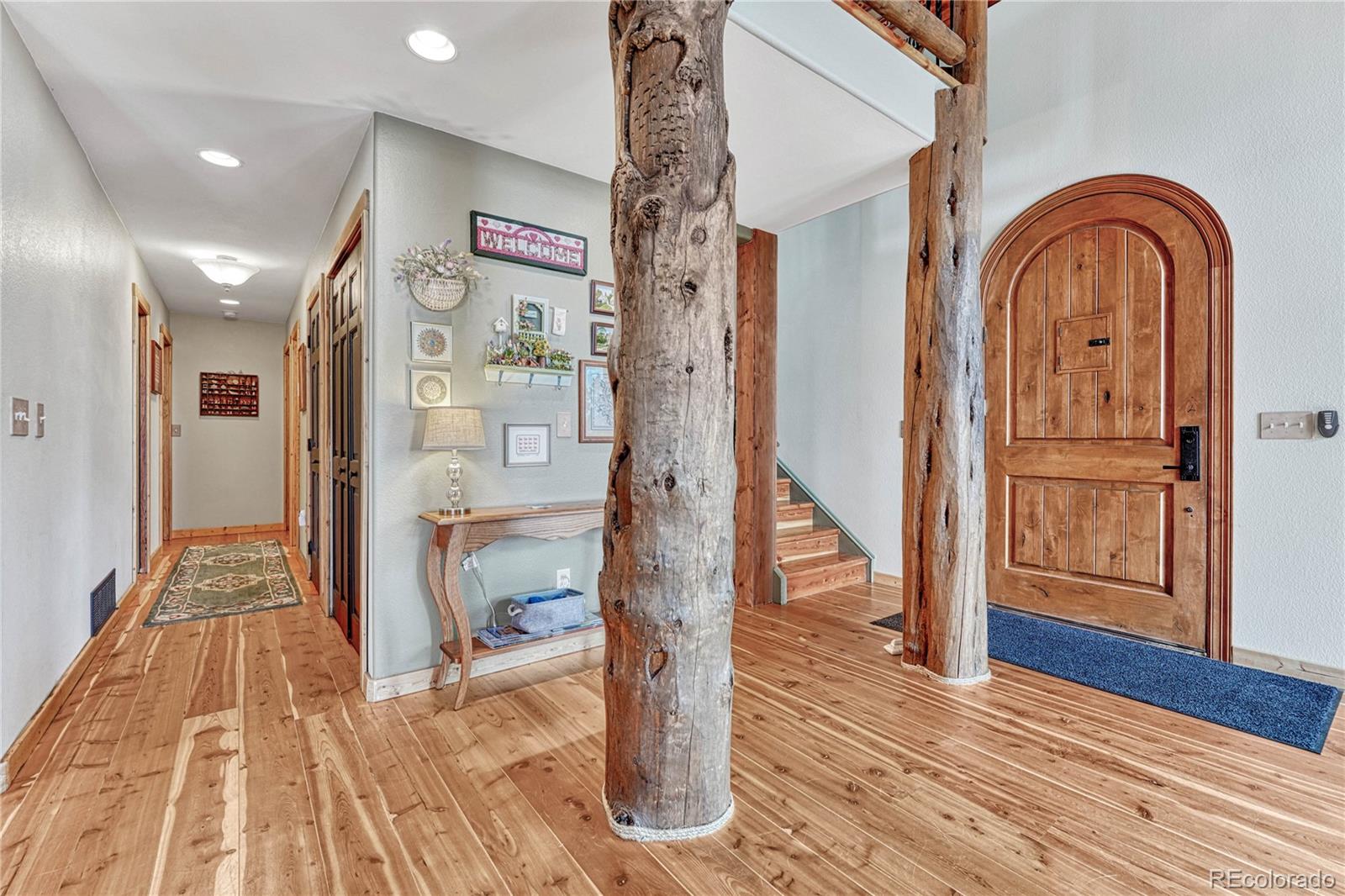 MLS Image #3 for 133  lake drive,florissant, Colorado