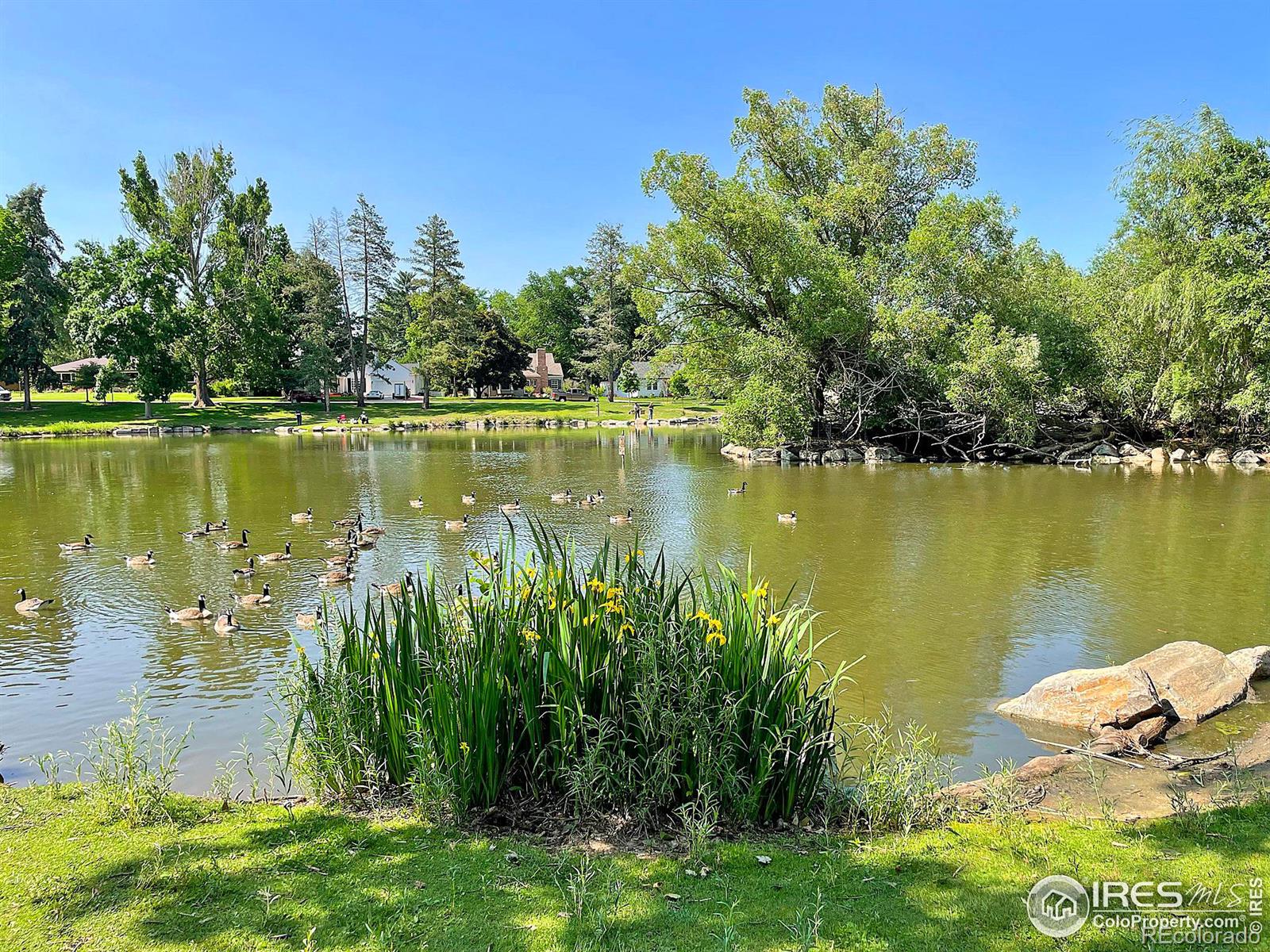 MLS Image #33 for 1842  18th avenue,greeley, Colorado