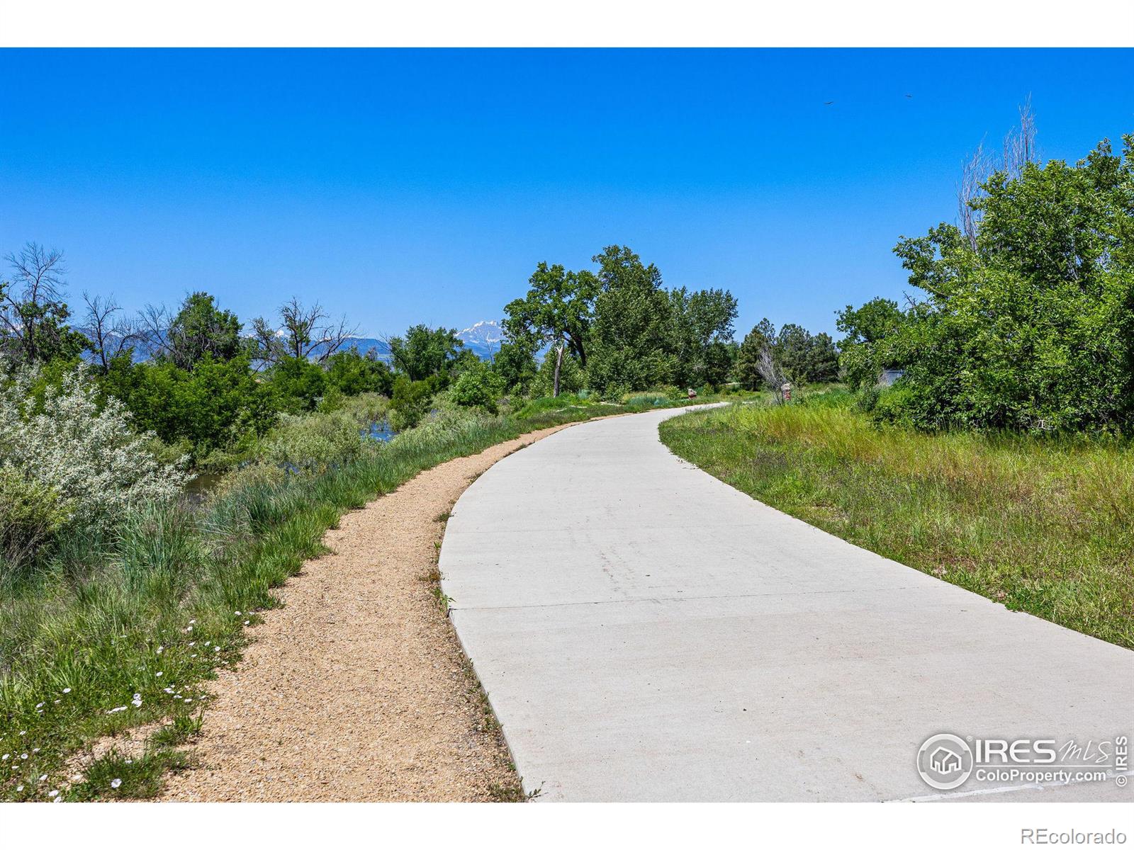 MLS Image #33 for 308  bross street,longmont, Colorado