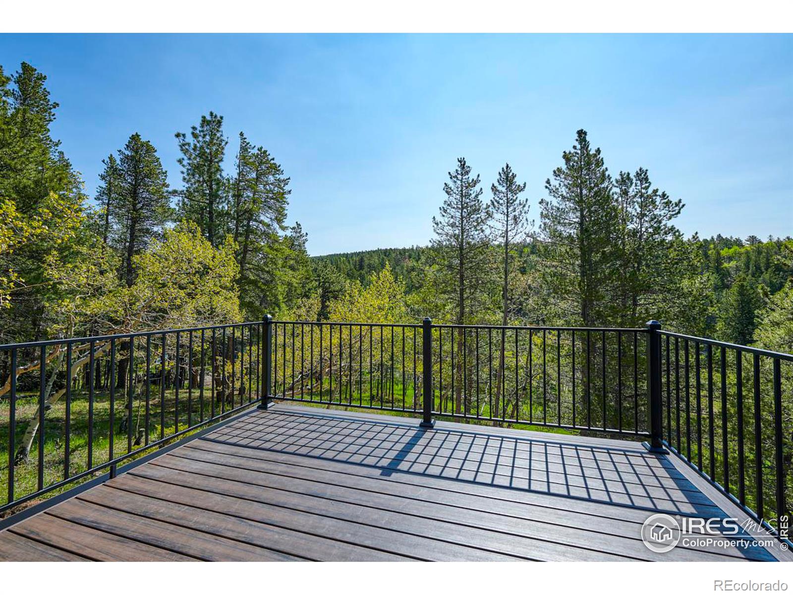 MLS Image #10 for 110  foxtail circle,black hawk, Colorado