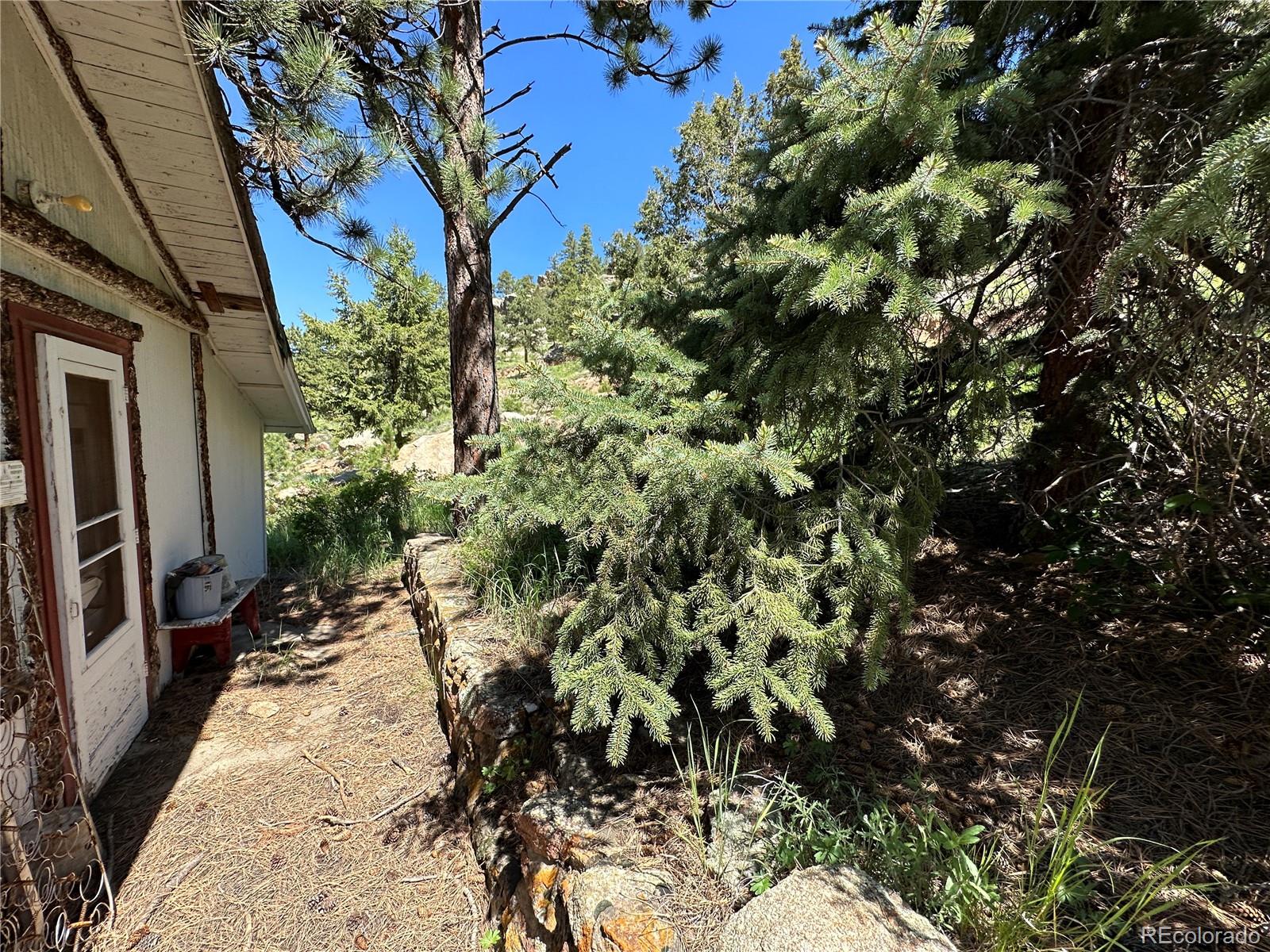 MLS Image #1 for 26339  wild flower trail,evergreen, Colorado