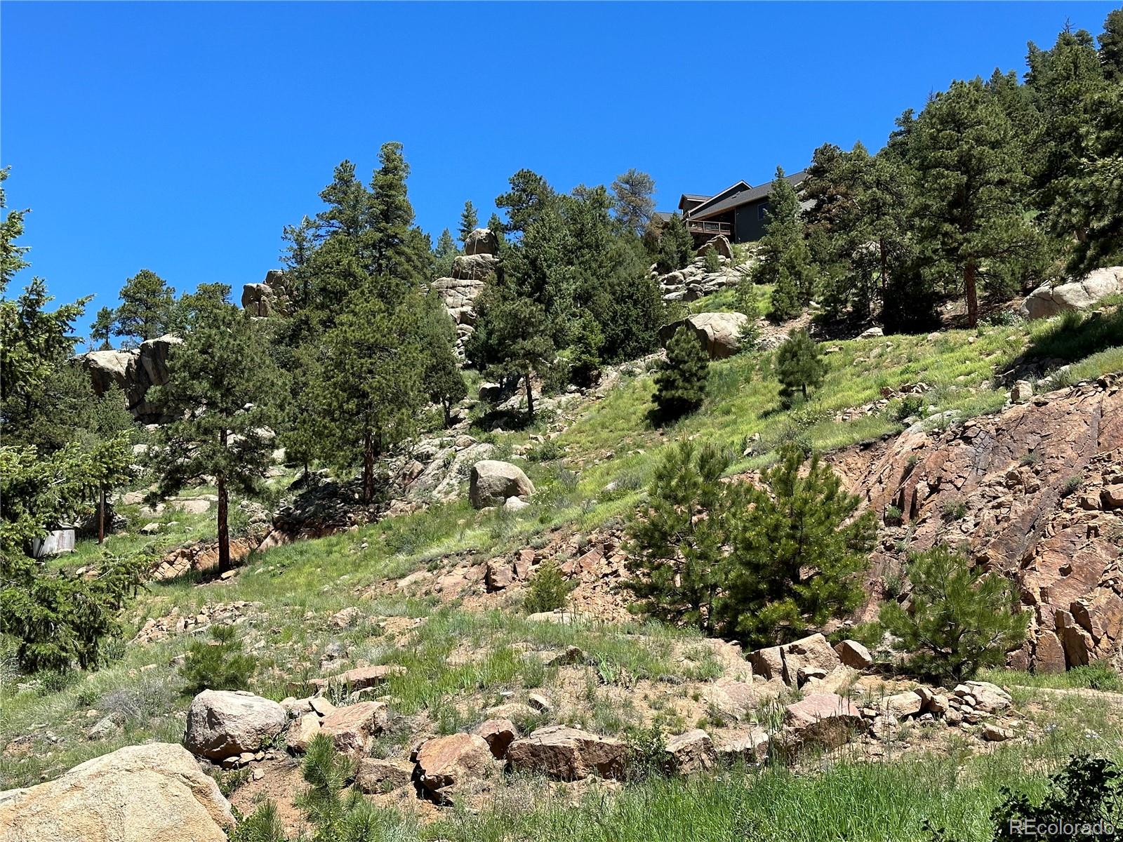 MLS Image #2 for 26339  wild flower trail,evergreen, Colorado