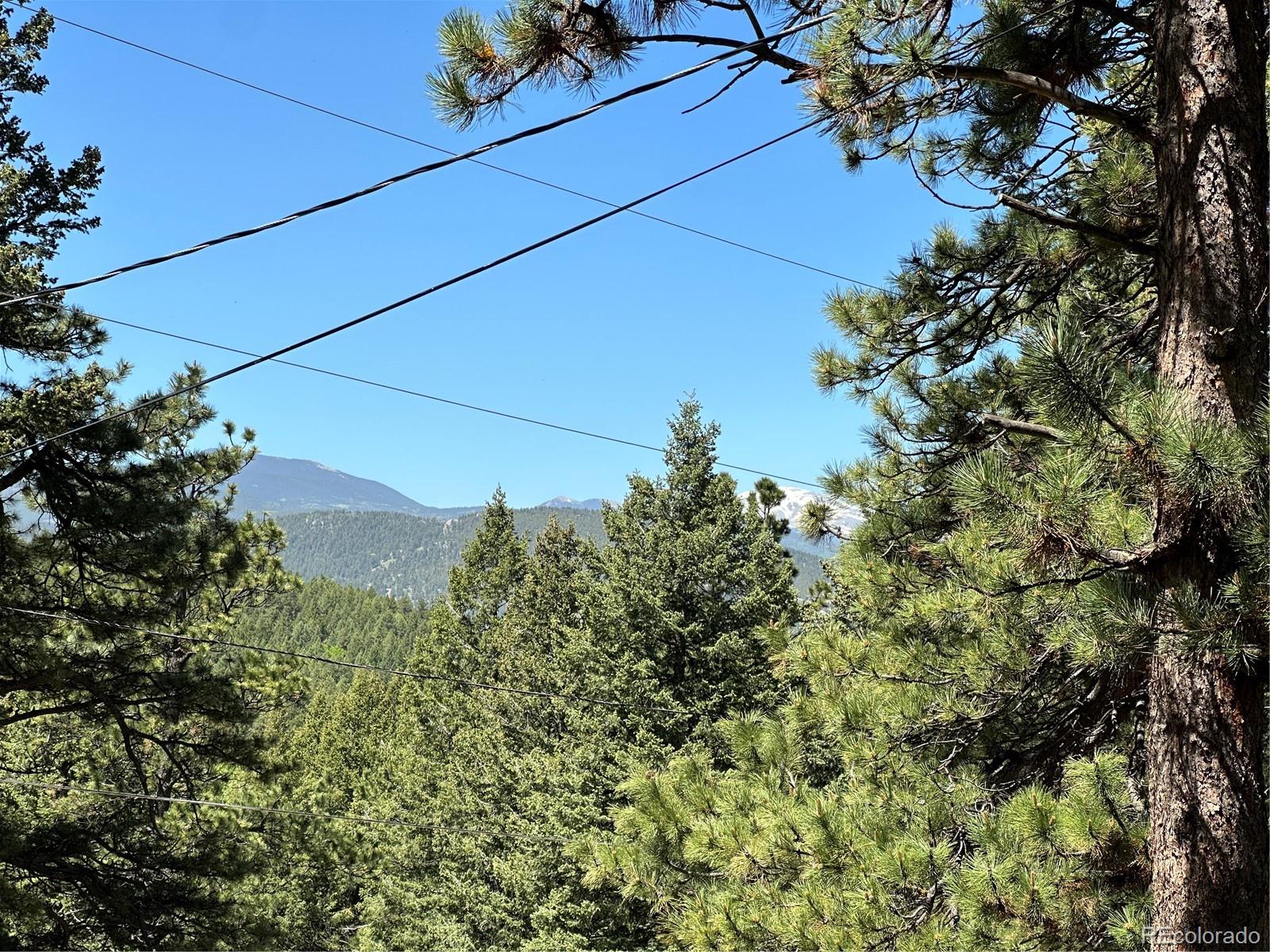 MLS Image #3 for 26339  wild flower trail,evergreen, Colorado