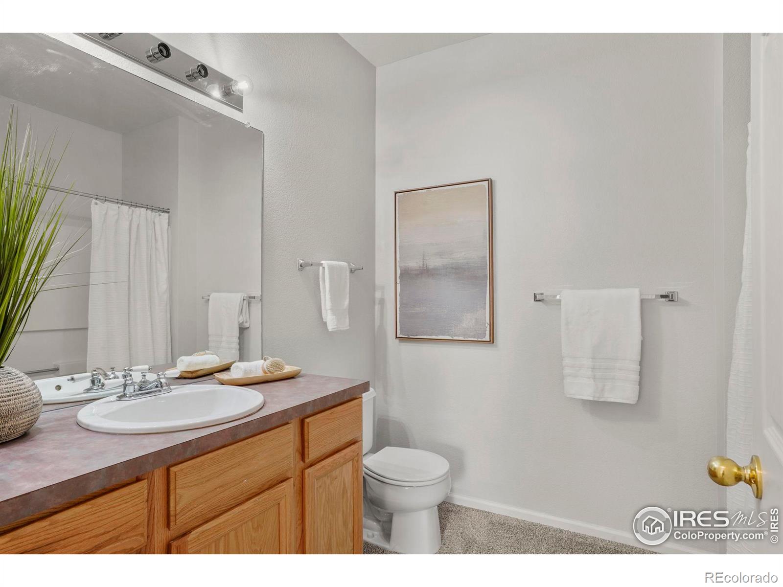 MLS Image #17 for 640  gooseberry drive,longmont, Colorado