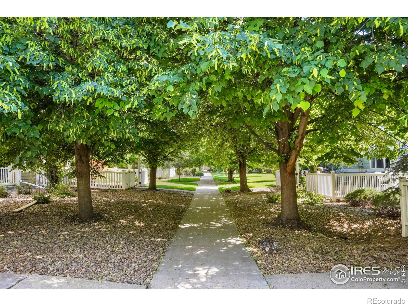MLS Image #22 for 640  gooseberry drive,longmont, Colorado