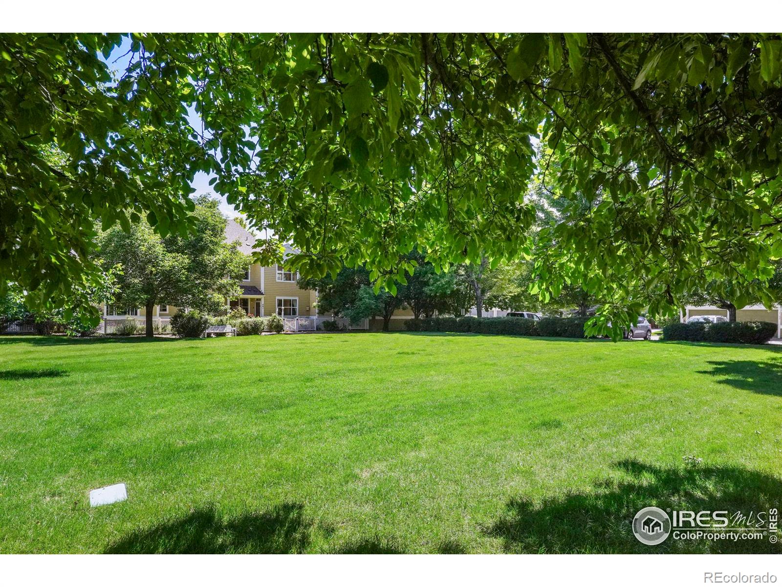 MLS Image #23 for 640  gooseberry drive,longmont, Colorado