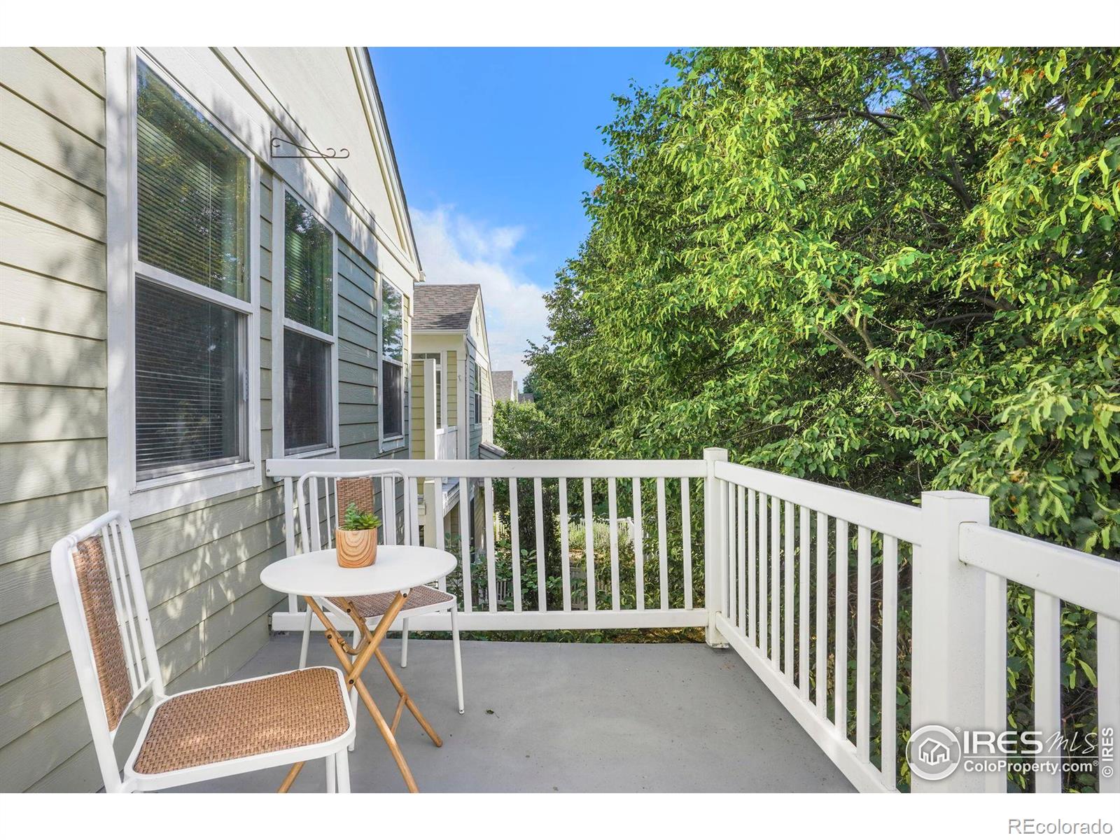 MLS Image #6 for 640  gooseberry drive,longmont, Colorado