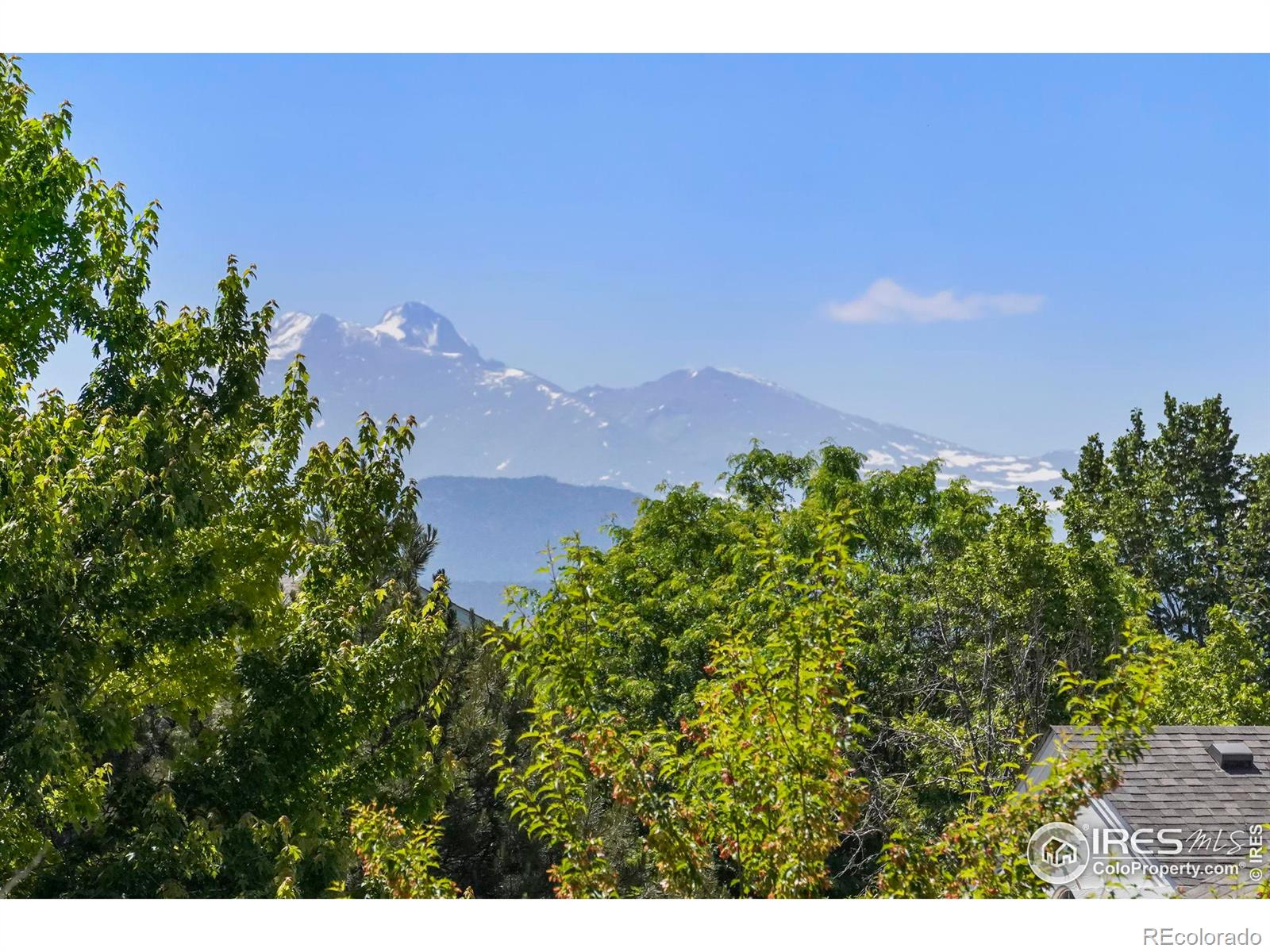 MLS Image #8 for 640  gooseberry drive,longmont, Colorado