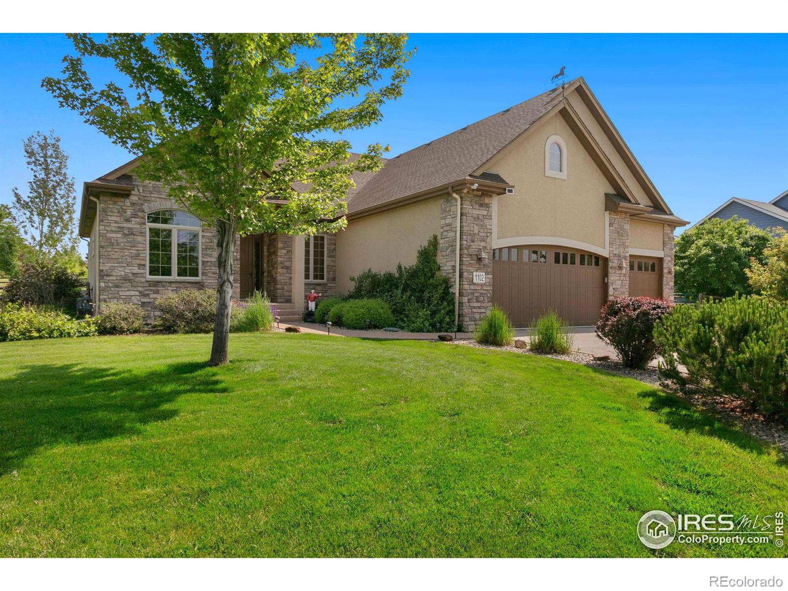 Report Image for 1102  Bateleur Lane,Fort Collins, Colorado