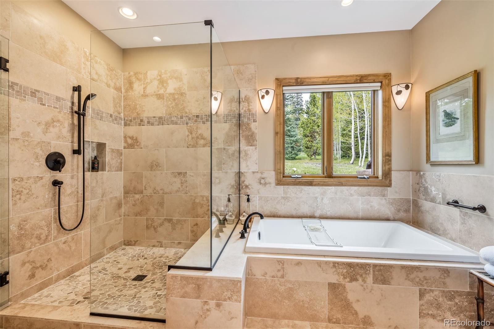 MLS Image #16 for 178  middle park court,silverthorne, Colorado