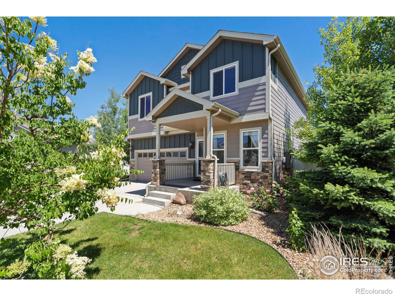 MLS Image #27 for 591  dakota court,windsor, Colorado