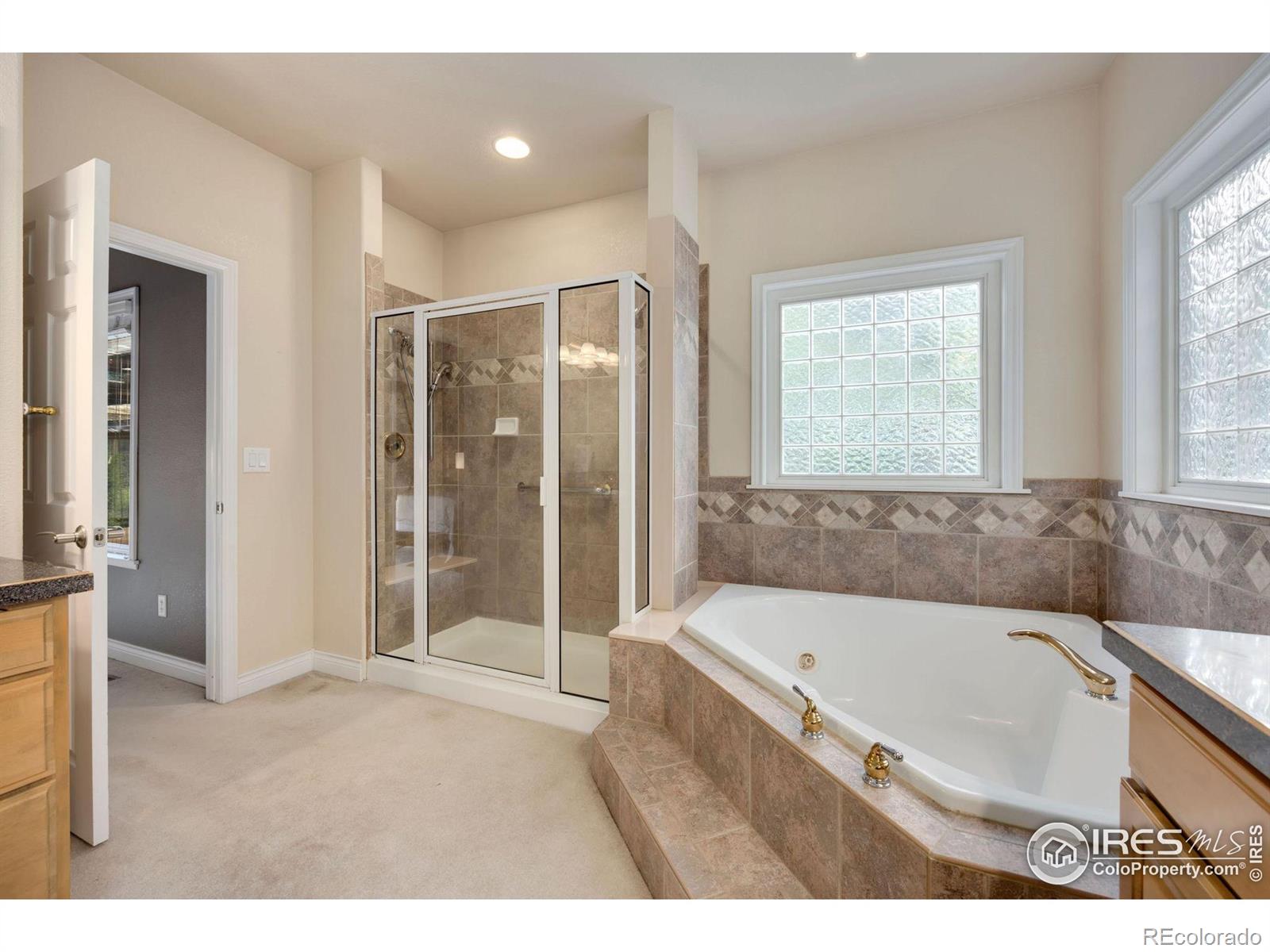 MLS Image #19 for 3161  kingfisher court,fort collins, Colorado