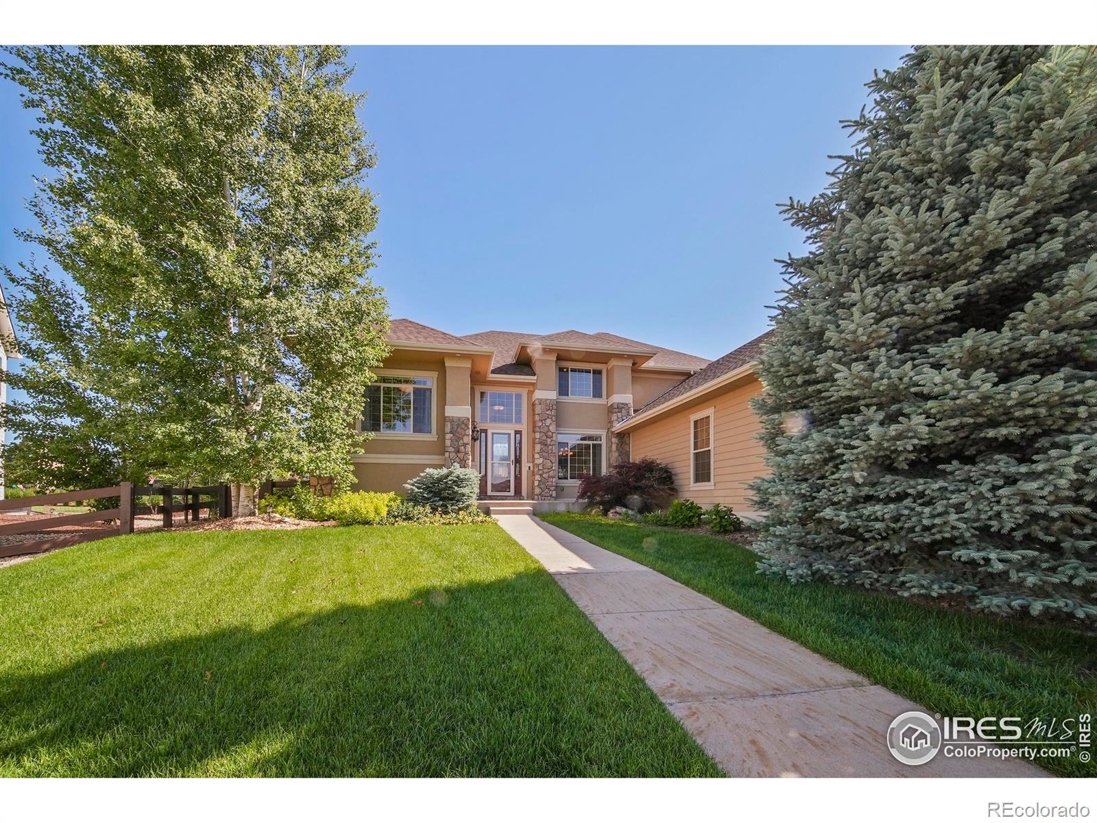 Report Image for 2019  Seapines Court,Windsor, Colorado