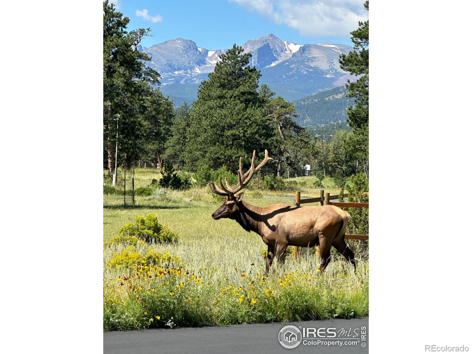 MLS Image #34 for 1376  deer path court,estes park, Colorado