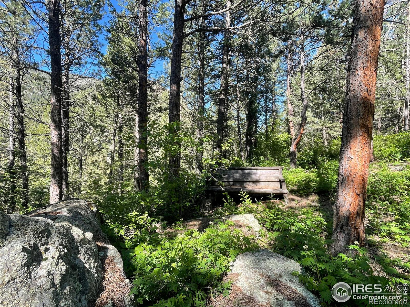 MLS Image #19 for 9755  lefthand canyon drive,jamestown, Colorado