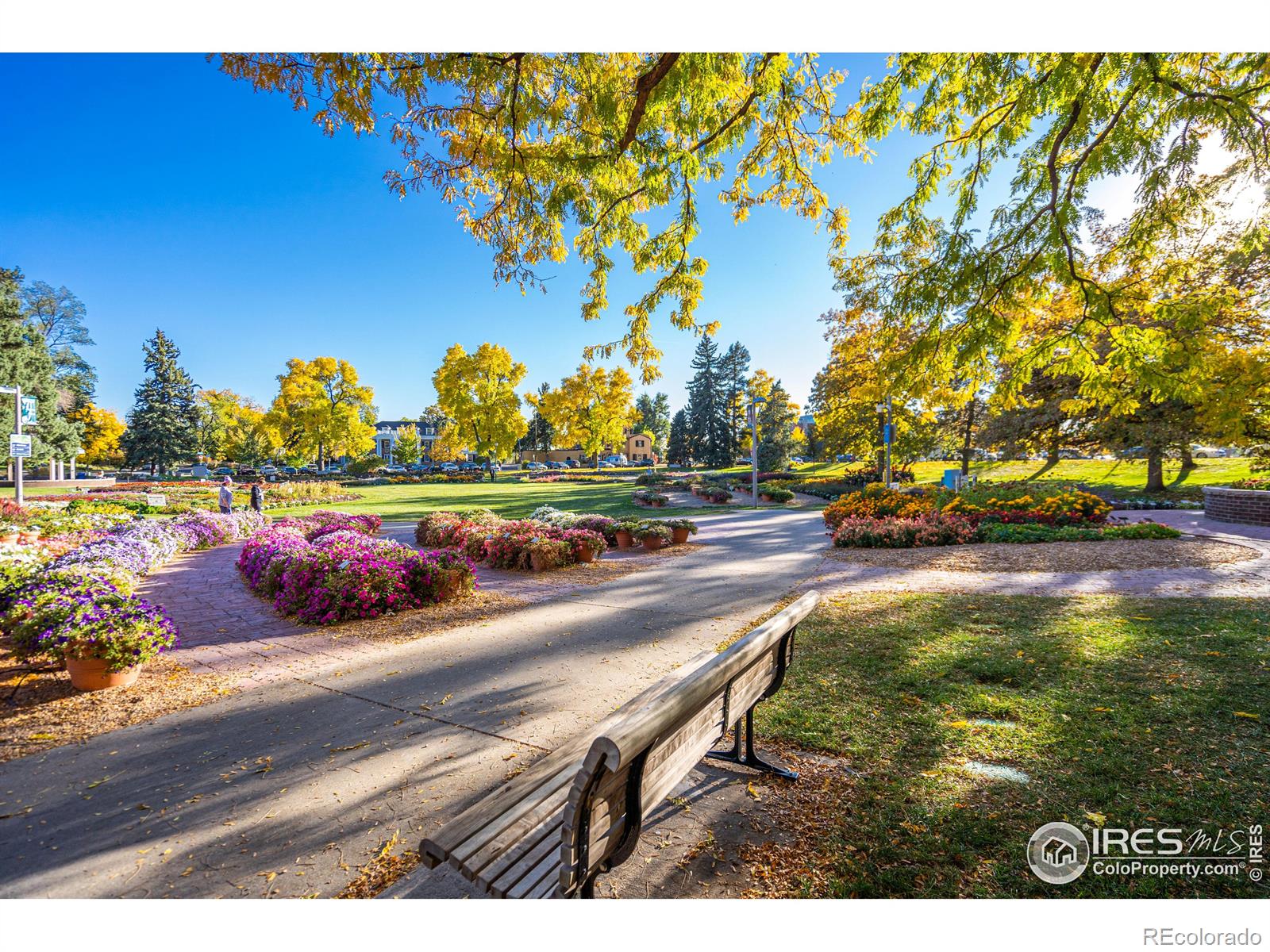 MLS Image #38 for 820 w olive street,fort collins, Colorado