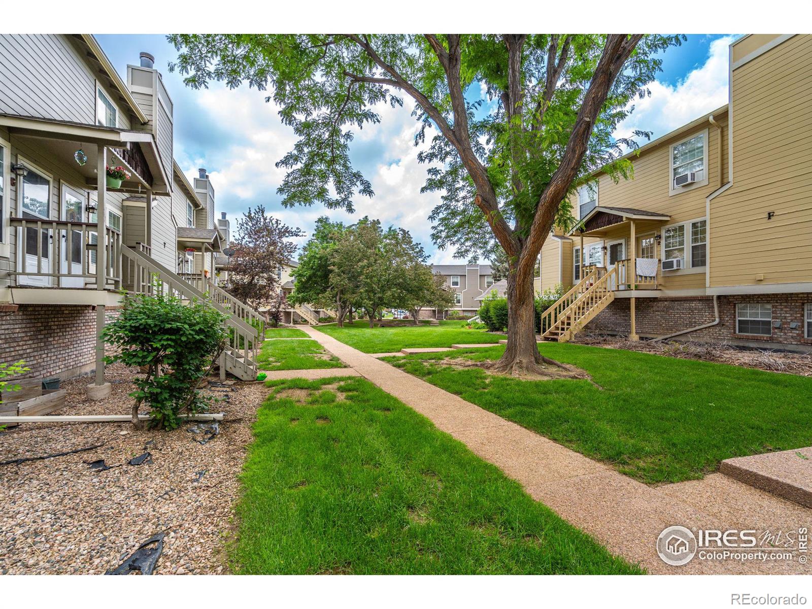 MLS Image #14 for 3200  azalea drive,fort collins, Colorado