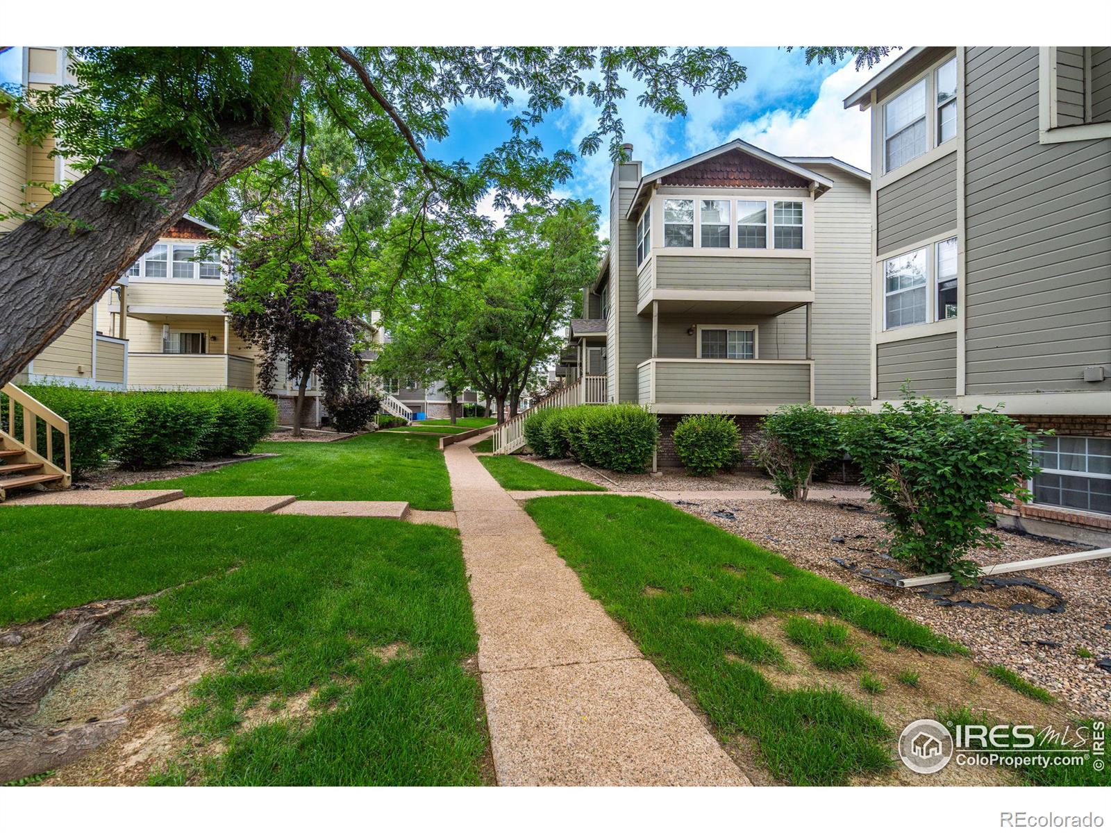 MLS Image #15 for 3200  azalea drive,fort collins, Colorado